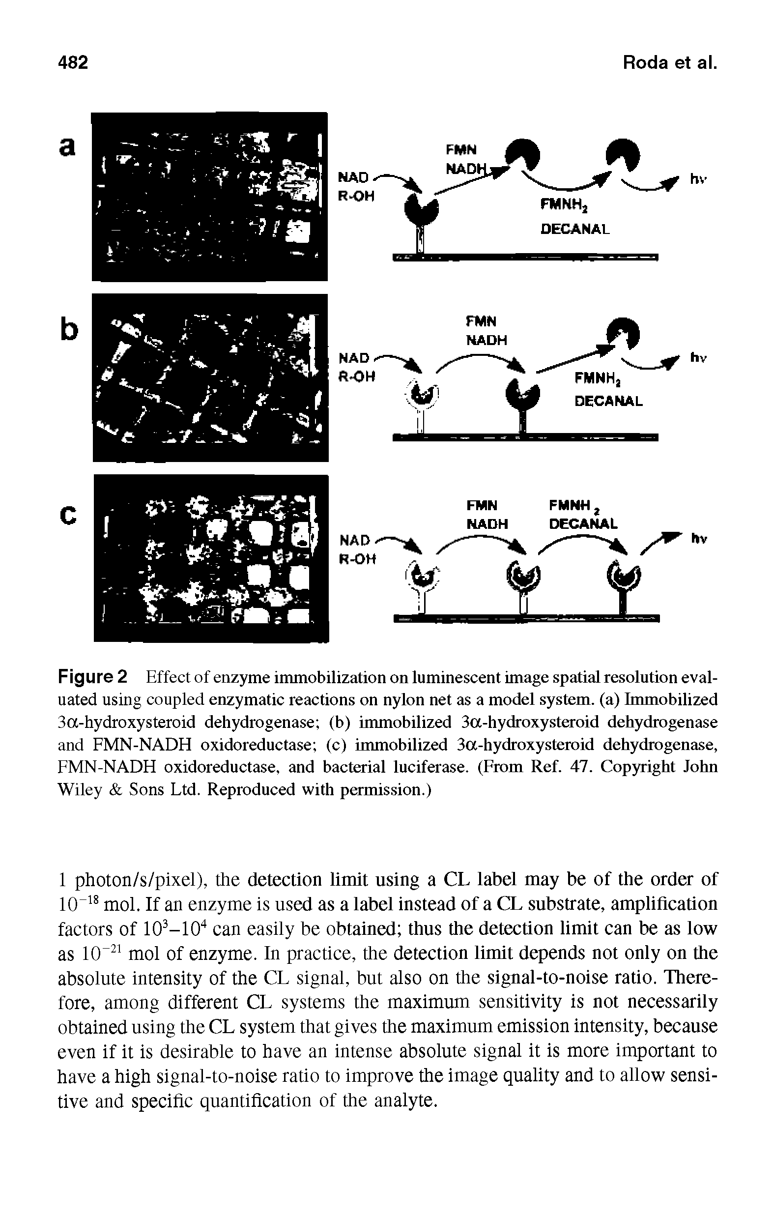 Figure 2 Effect of enzyme immobilization on luminescent image spatial resolution evaluated using coupled enzymatic reactions on nylon net as a model system, (a) Immobilized 3a-hydroxysteroid dehydrogenase (b) immobilized 3a-hydroxysteroid dehydrogenase and FMN-NADH oxidoreductase (c) immobilized 3a-hydroxysteroid dehydrogenase, FMN-NADH oxidoreductase, and bacterial luciferase. (From Ref. 47. Copyright John Wiley Sons Ltd. Reproduced with permission.)...