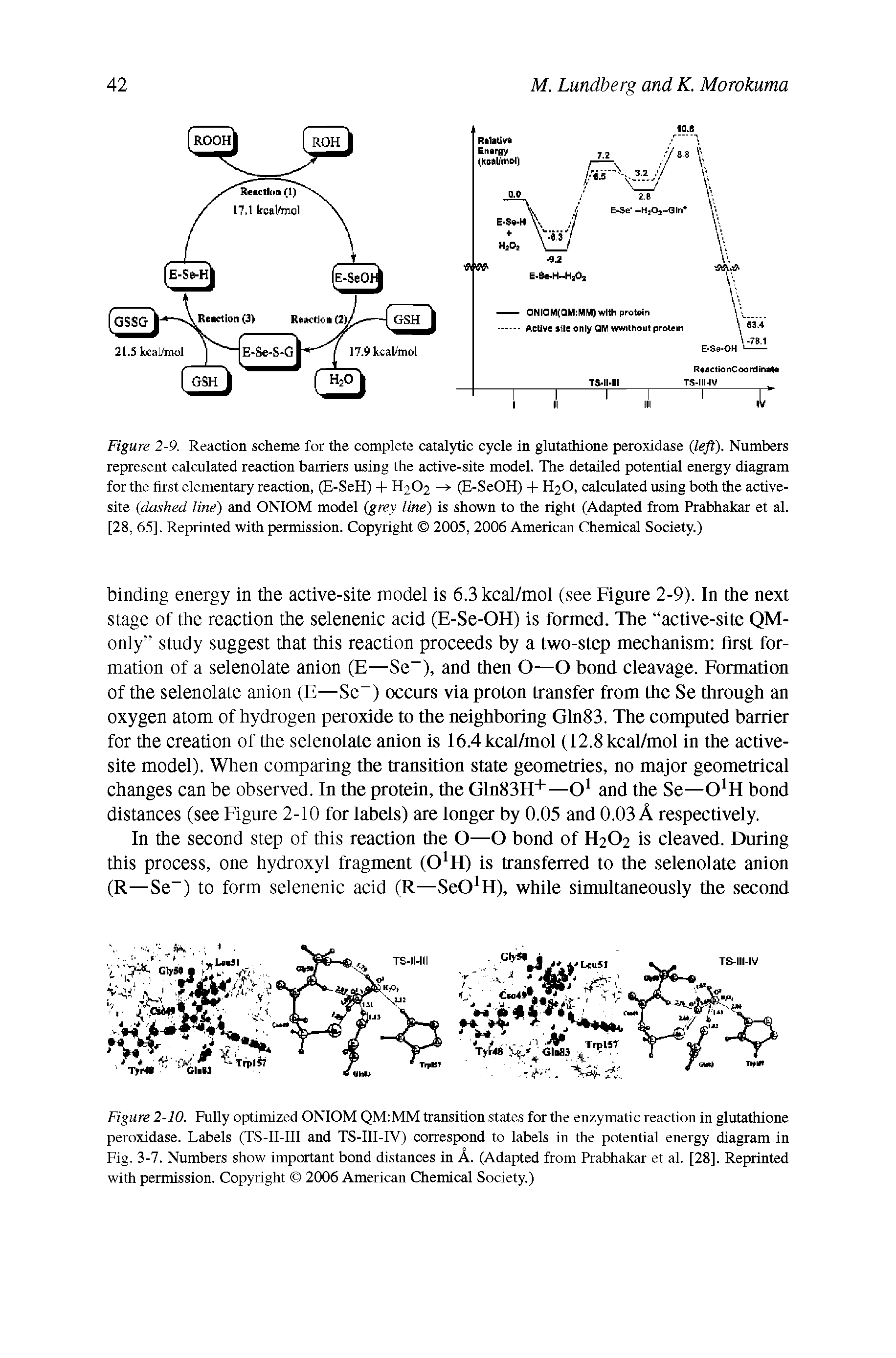 Figure 2-10. Fully optimized ONIOM QM MM transition states for the enzymatic reaction in glutathione peroxidase. Labels (TS-II-III and TS-III-IV) correspond to labels in the potential energy diagram in Fig. 3-7. Numbers show important bond distances in A. (Adapted from Prabhakar et al. [28]. Reprinted with permission. Copyright 2006 American Chemical Society.)...