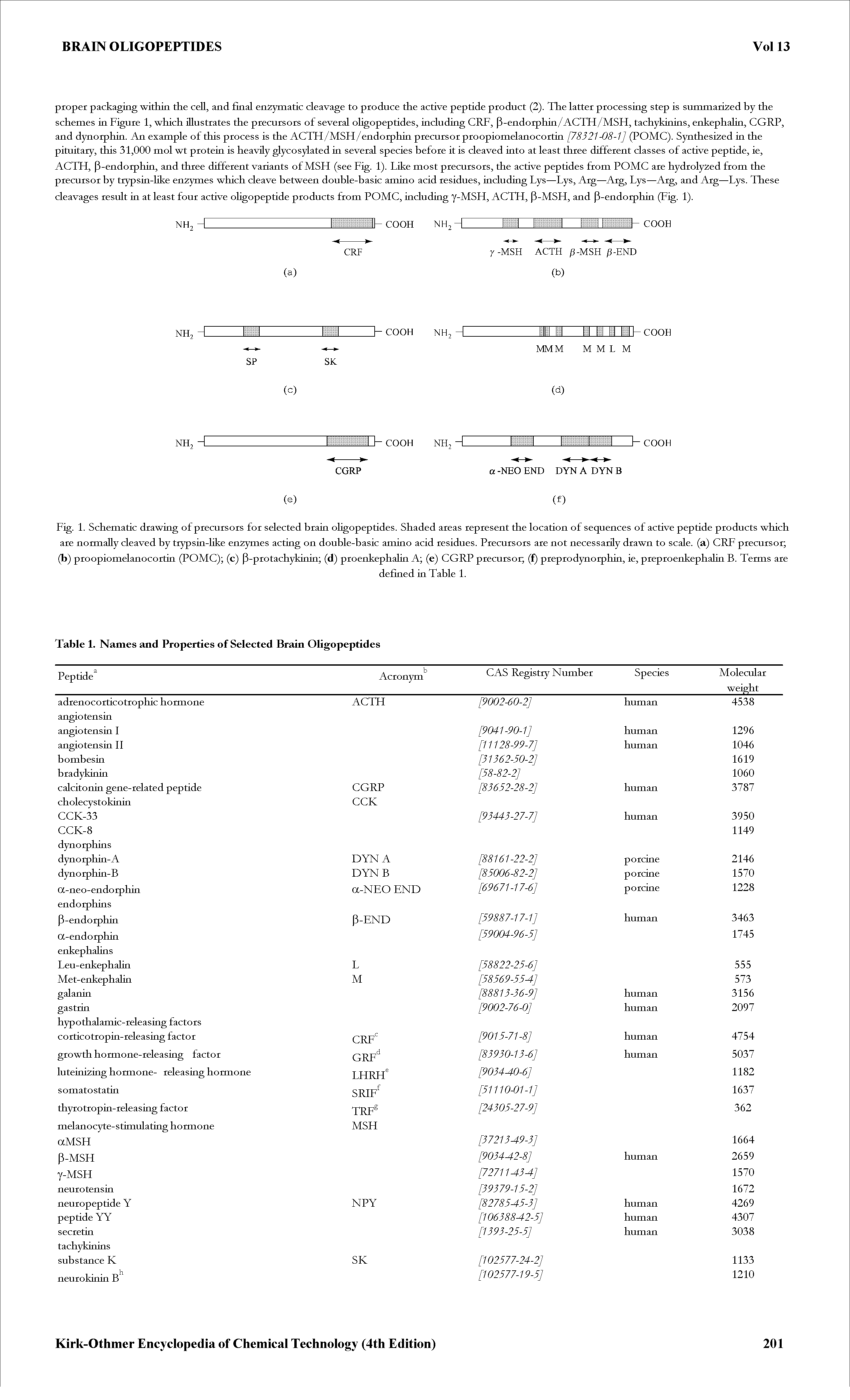 Fig. 1. Schematic drawing of precursors for selected brain oligopeptides. Shaded areas represent the location of sequences of active peptide products which are normally cleaved by trypsin-like enzymes acting on double-basic amino acid residues. Precursors are not necessarily drawn to scale, (a) CRF precursor (b) proopiomelanocortin (POMC) (c) P-protachykinin (d) proenkephalin A (e) CGRP precursor (f) preprodynorphin, ie, preproenkephalin B. Terms are...