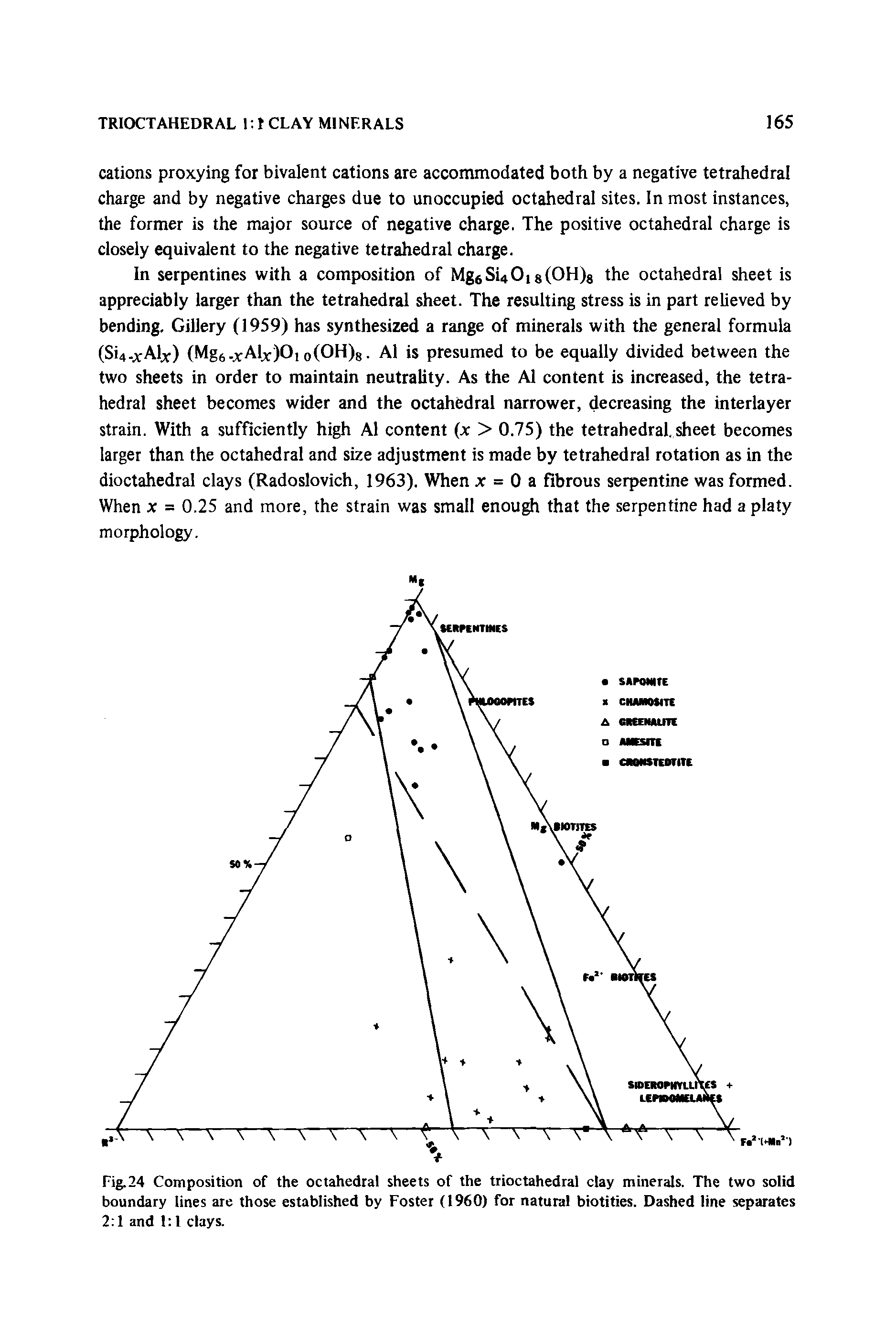 Fig.24 Composition of the octahedral sheets of the trioctahedral clay minerals. The two solid boundary lines are those established by Foster (1960) for natural biotities. Dashed line separates 2 1 and 1 1 clays.