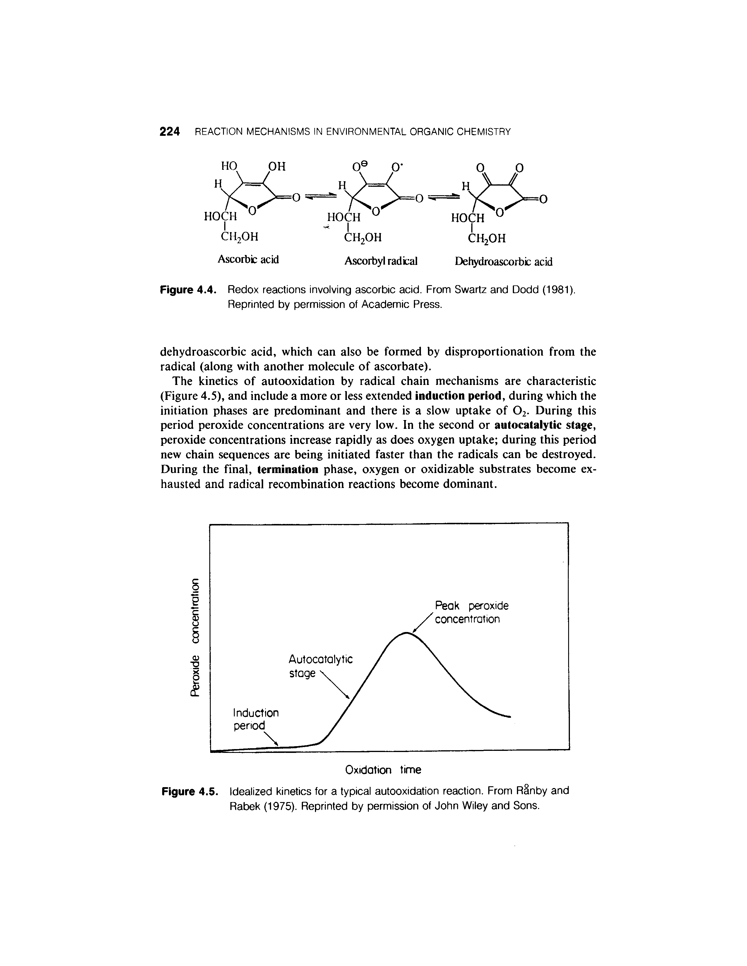 Figure 4.5. Idealized kinetics for a typical autooxidation reaction. From Ranby and Rabek (1975). Reprinted by permission of John Wiley and Sons.