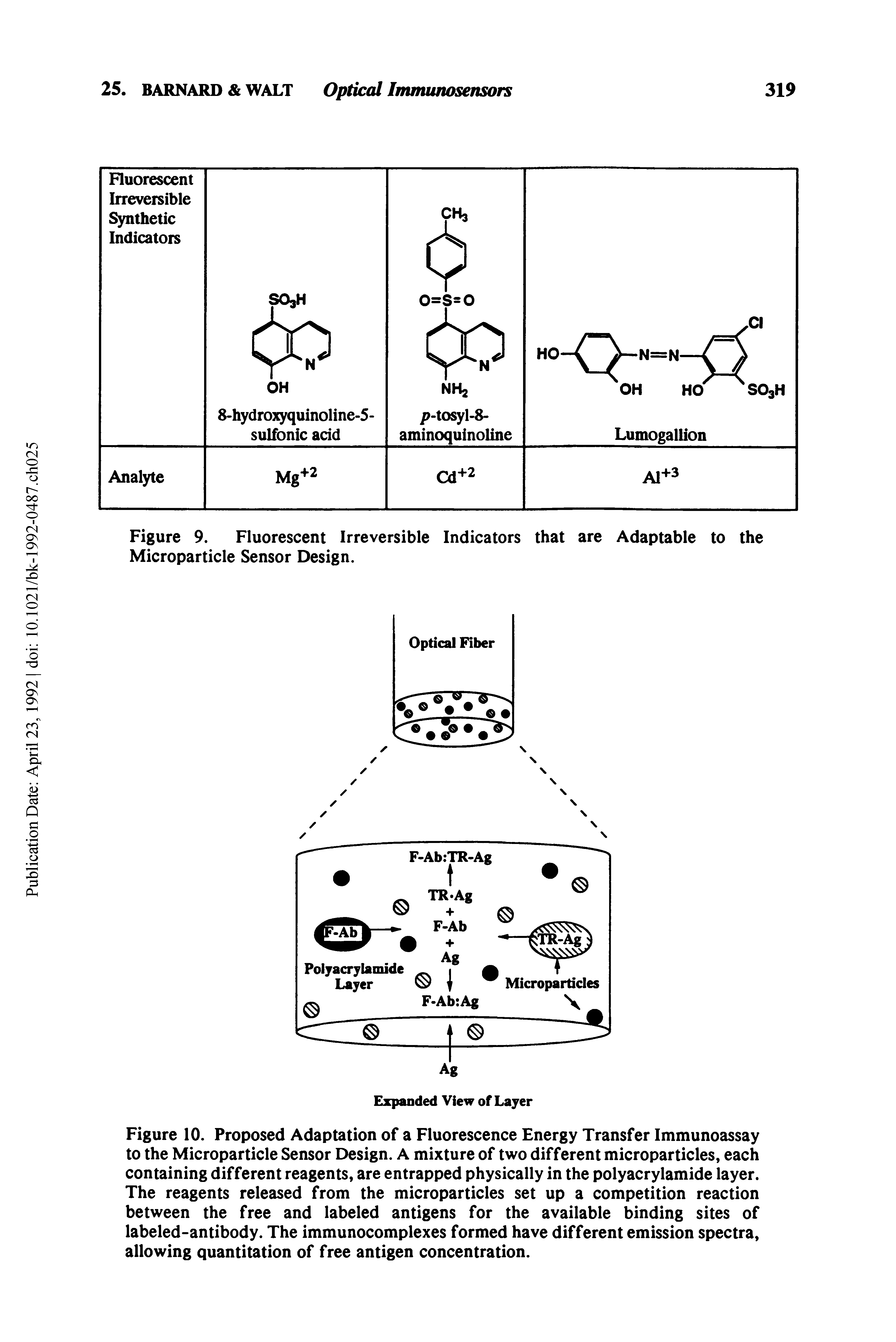 Figure 10. Proposed Adaptation of a Fluorescence Energy Transfer Immunoassay to the Microparticle Sensor Design. A mixture of two different microparticles, each containing different reagents, are entrapped physically in the polyacrylamide layer. The reagents released from the microparticles set up a competition reaction between the free and labeled antigens for the available binding sites of labeled-antibody. The immunocomplexes formed have different emission spectra, allowing quantitation of free antigen concentration.