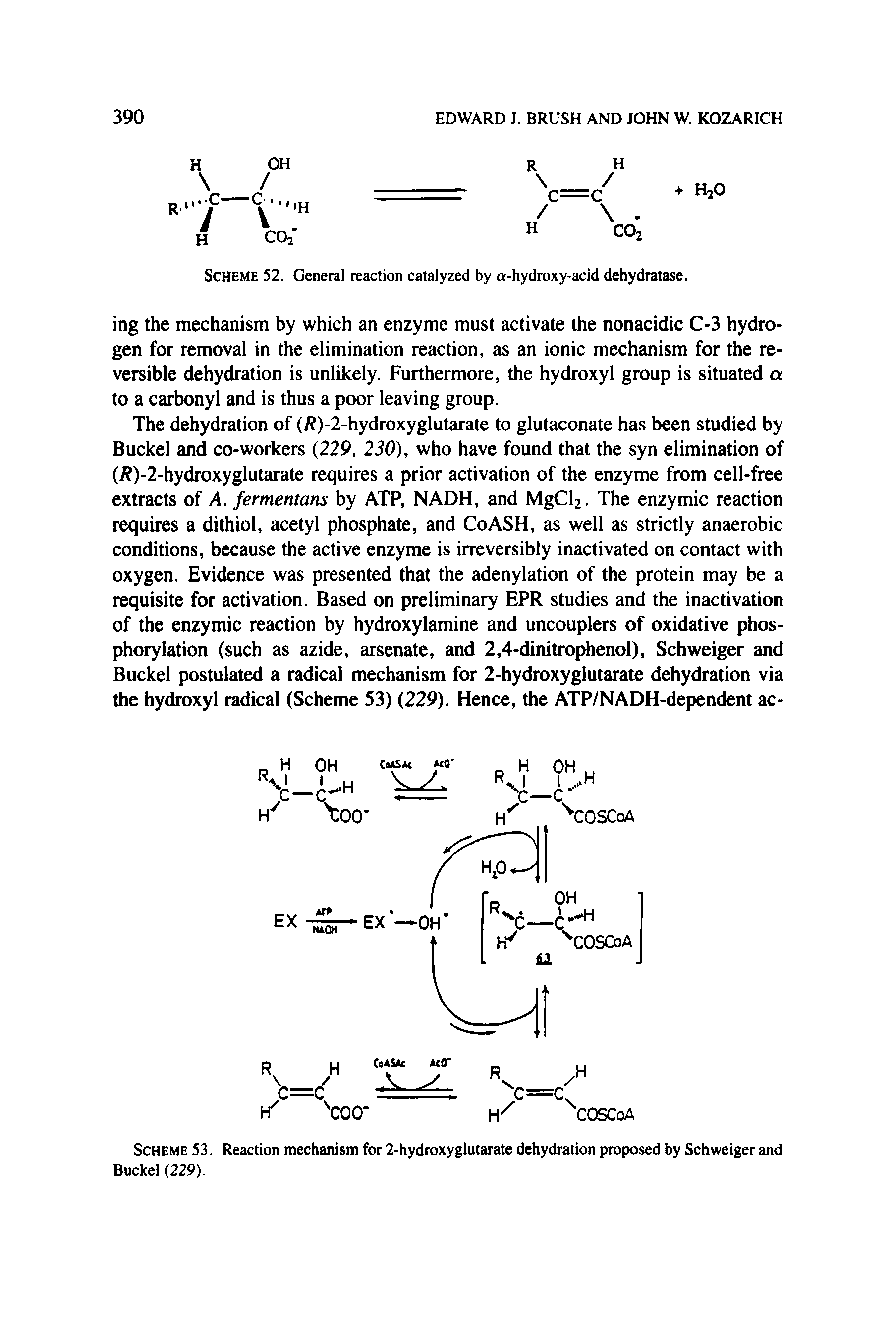 Scheme 52. General reaction catalyzed by a-hydroxy-acid dehydratase.