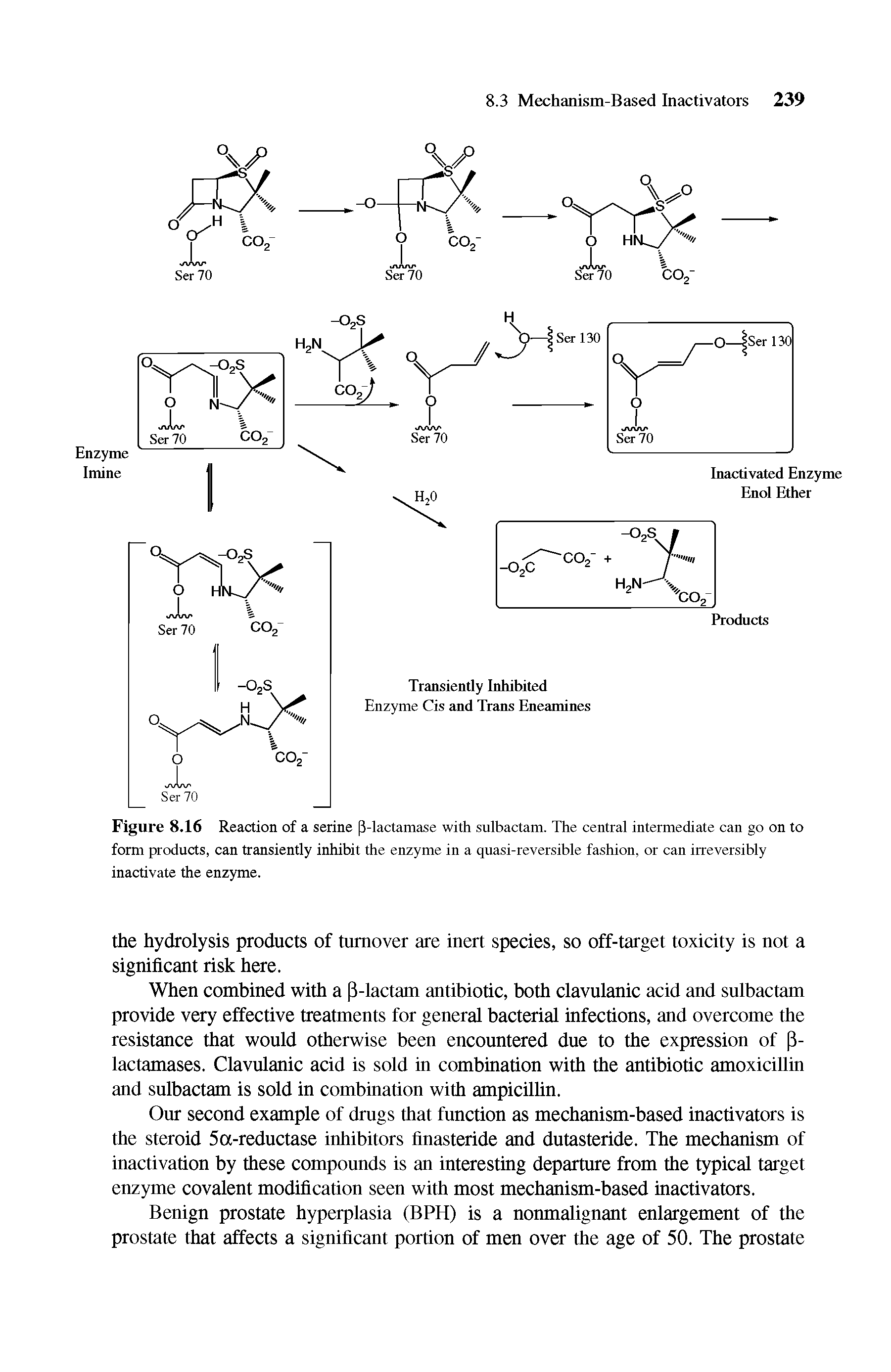 Figure 8.16 Reaction of a serine (3-lactamase with sulbactam. The central intermediate can go on to form products, can transiently inhibit the enzyme in a quasi-reversible fashion, or can irreversibly inactivate the enzyme.