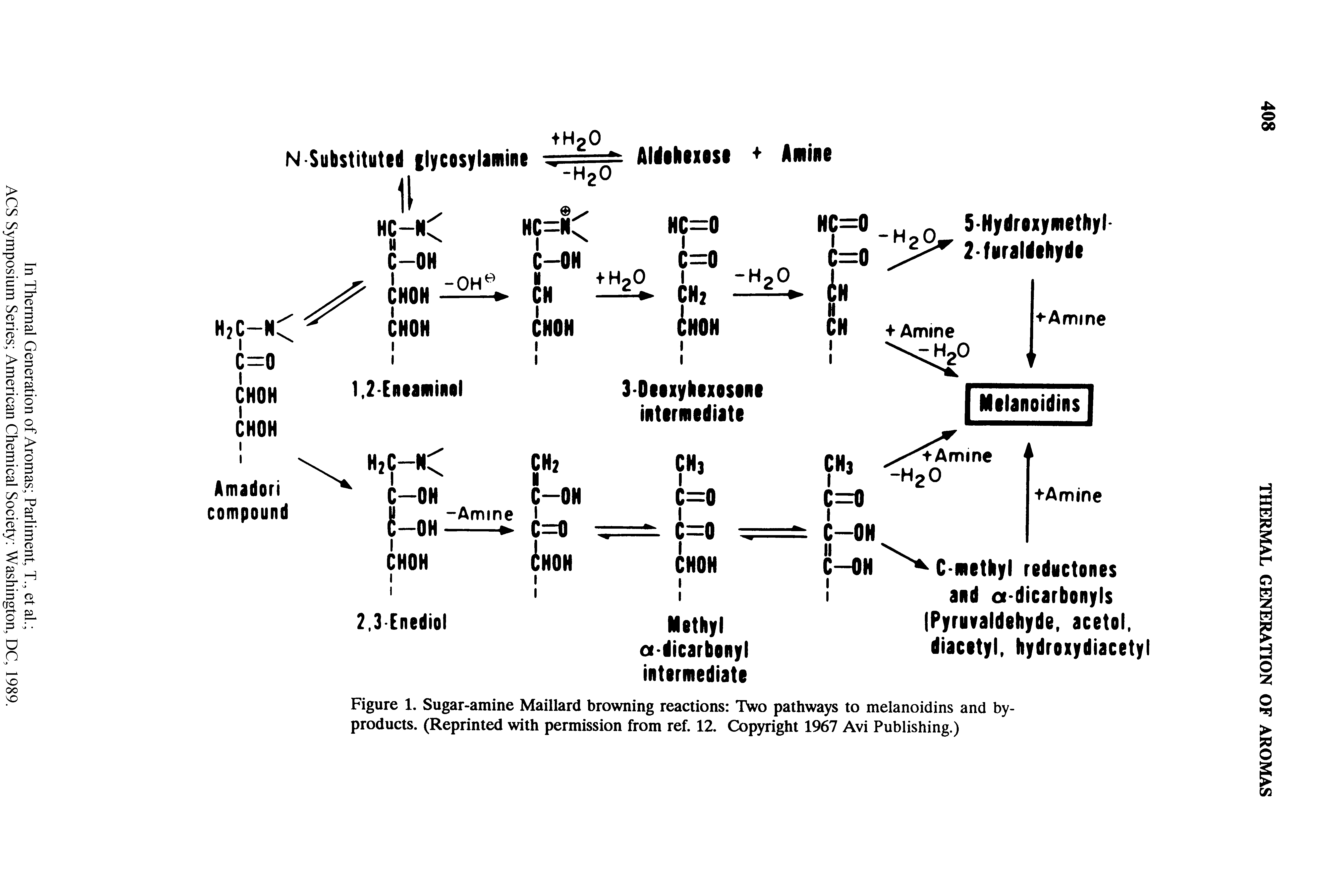 Figure 1. Sugar-amine Maillard browning reactions Two pathways to melanoidins and byproducts. (Reprinted with permission from ref. 12. Copyright 1967 Avi Publishing.)...