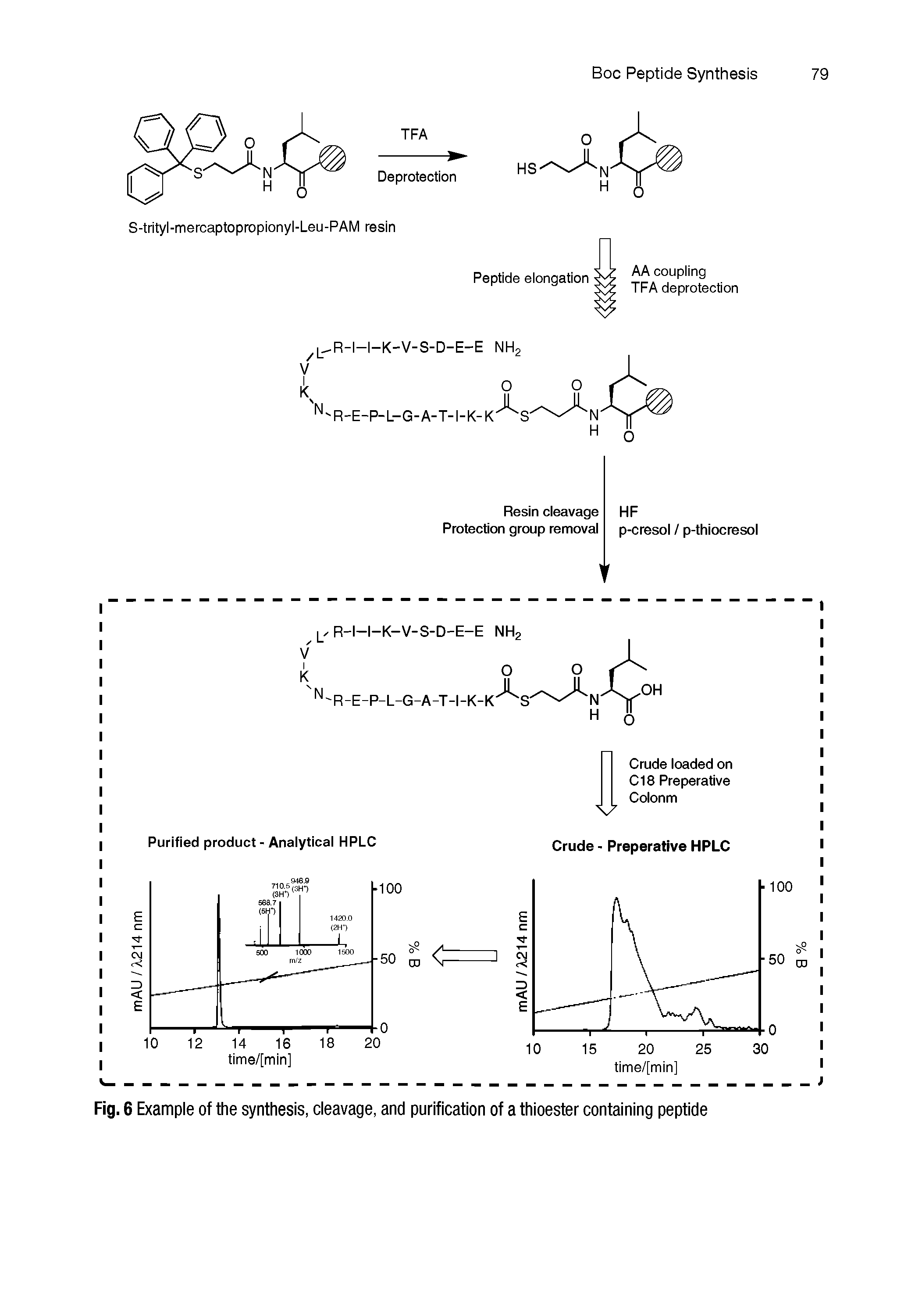 Fig. 6 Example of the synthesis, cleavage, and purification of a thioester containing peptide...