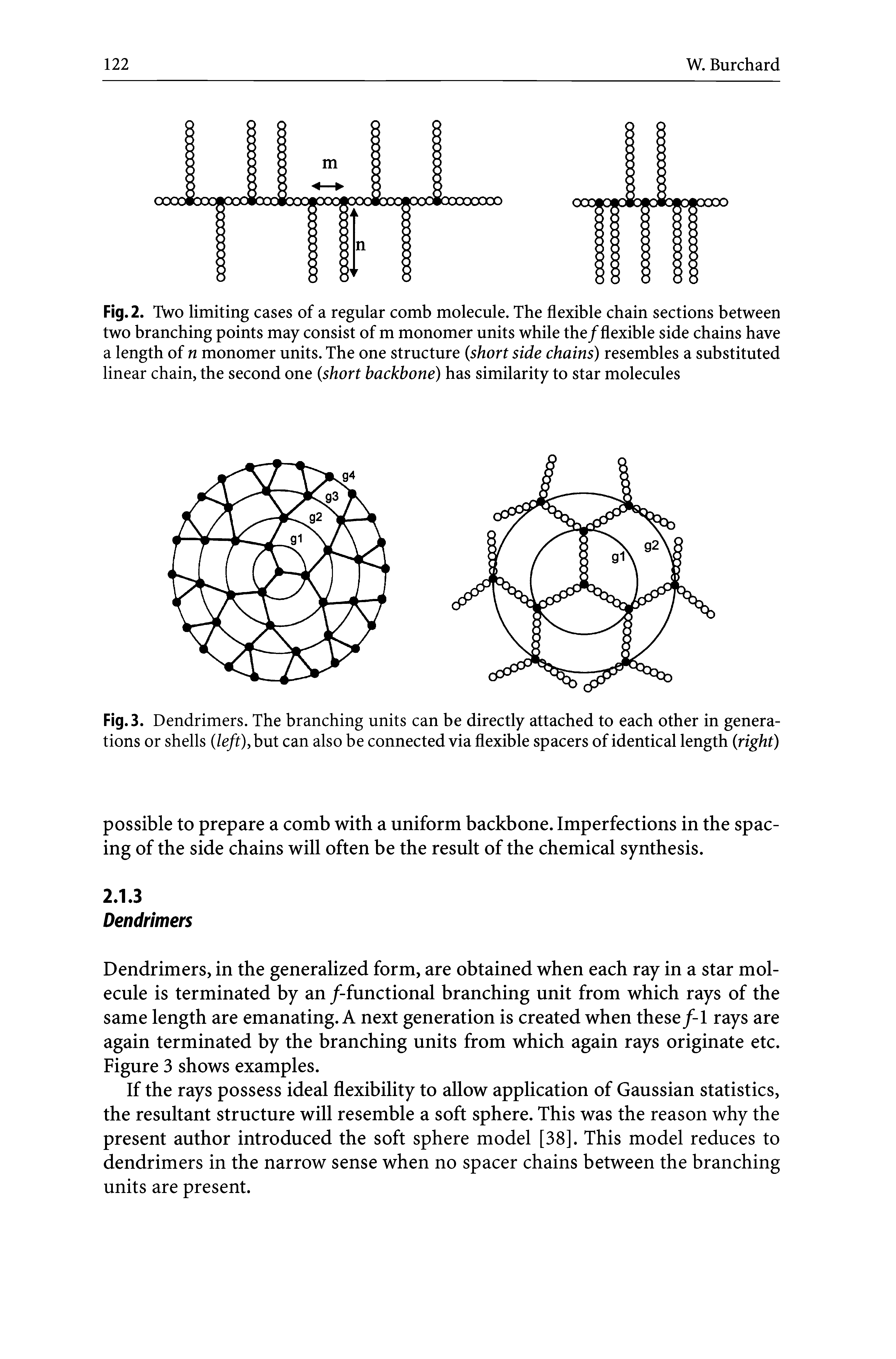 Fig. 2. Two limiting cases of a regular comb molecule. The flexible chain sections between two branching points may consist of m monomer units while the/flexible side chains have a length of n monomer units. The one structure (short side chains) resembles a substituted linear chain, the second one (short backbone) has similarity to star molecules...