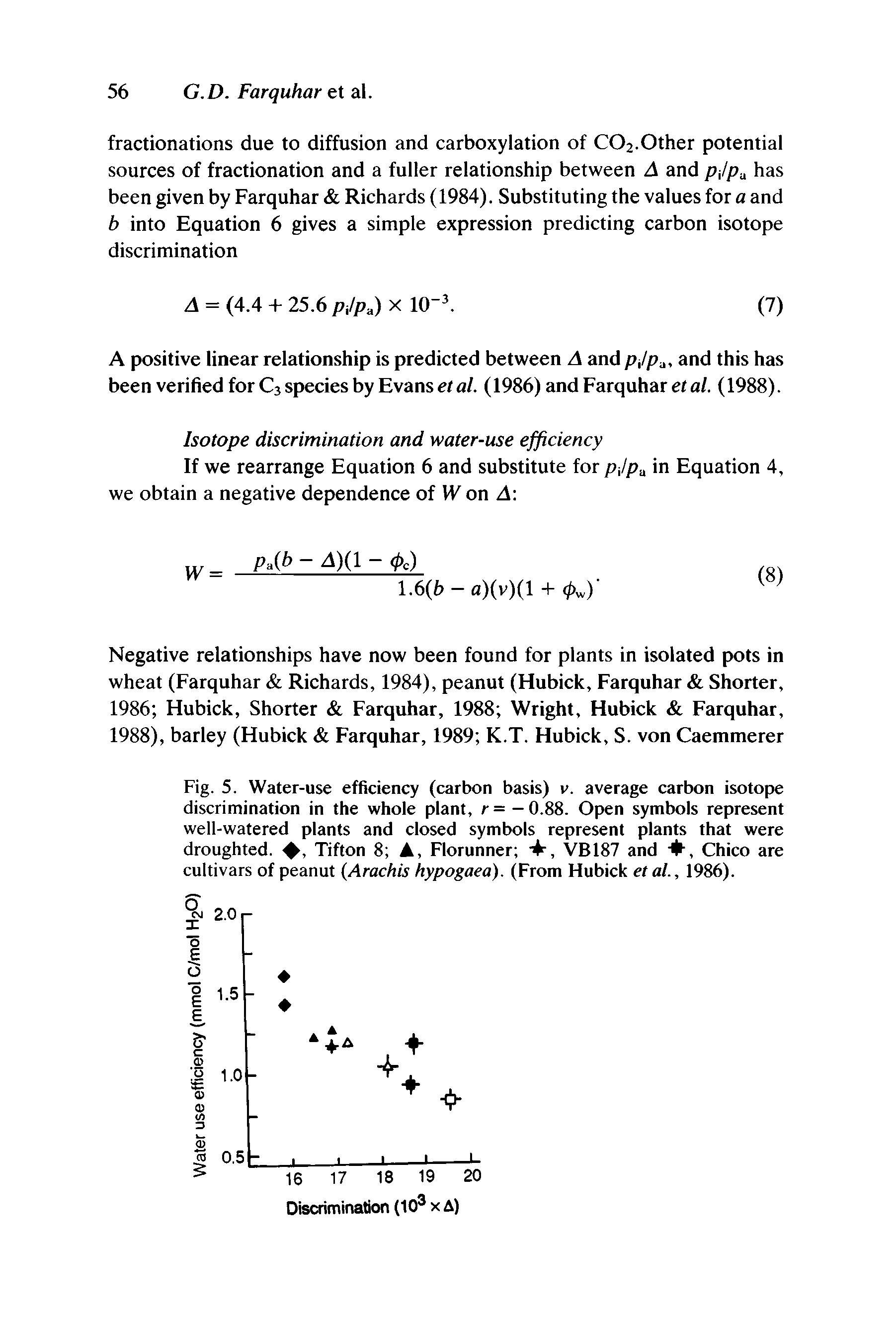 Fig. 5. Water-use efficiency (carbon basis) v. average carbon isotope discrimination in the whole plant, r= -0.88. Open symbols represent well-watered plants and closed symbols represent plants that were droughted. Tifton 8 A, Florunner A, VB187 and +, Chico are cultivars of peanut (Arachis hypogaea). (From Flubick etal., 1986).