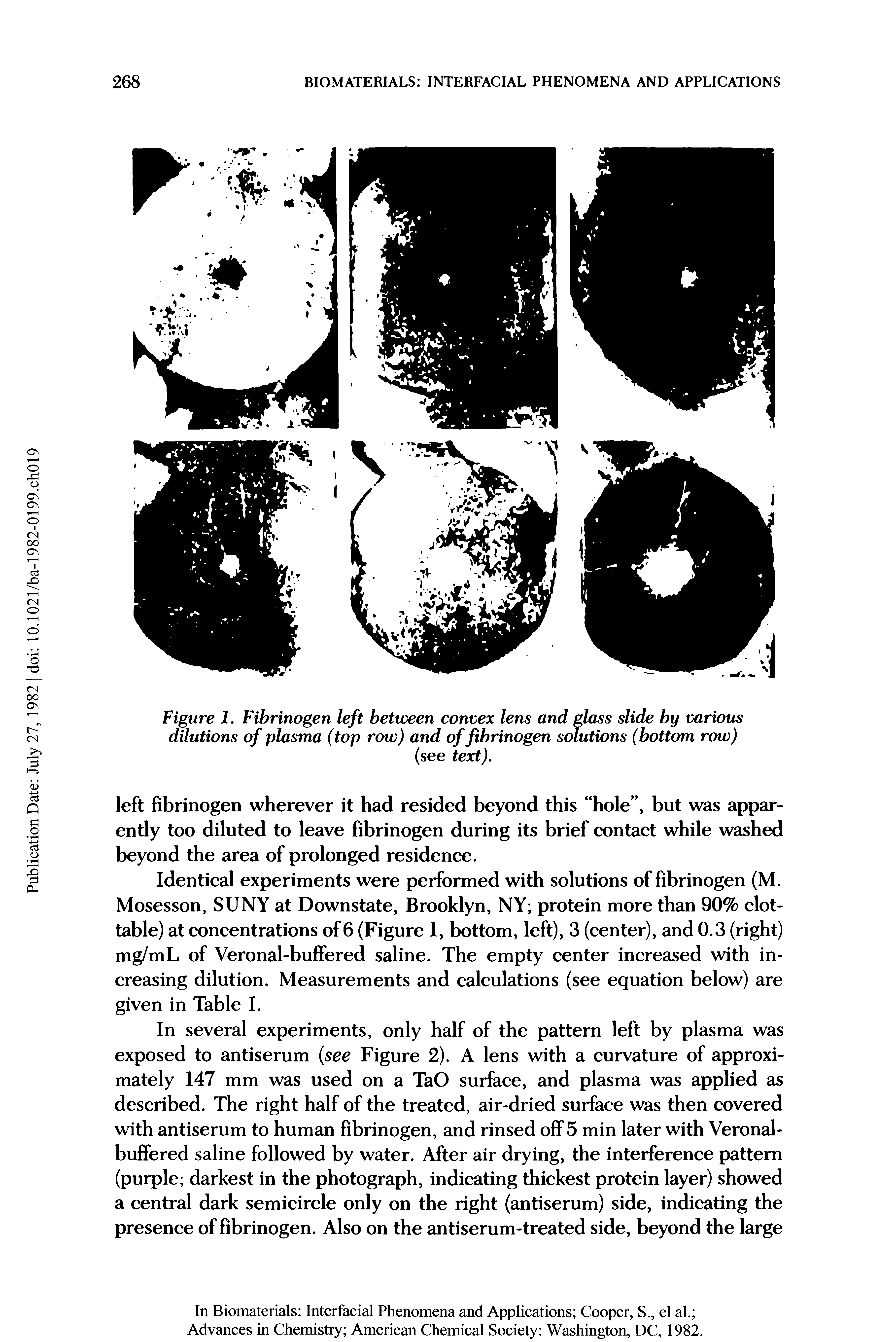 Figure 1. Fibrinogen left between convex lens and glass slide by various dilutions of plasma (top row) and of fibrinogen solutions (bottom row)...