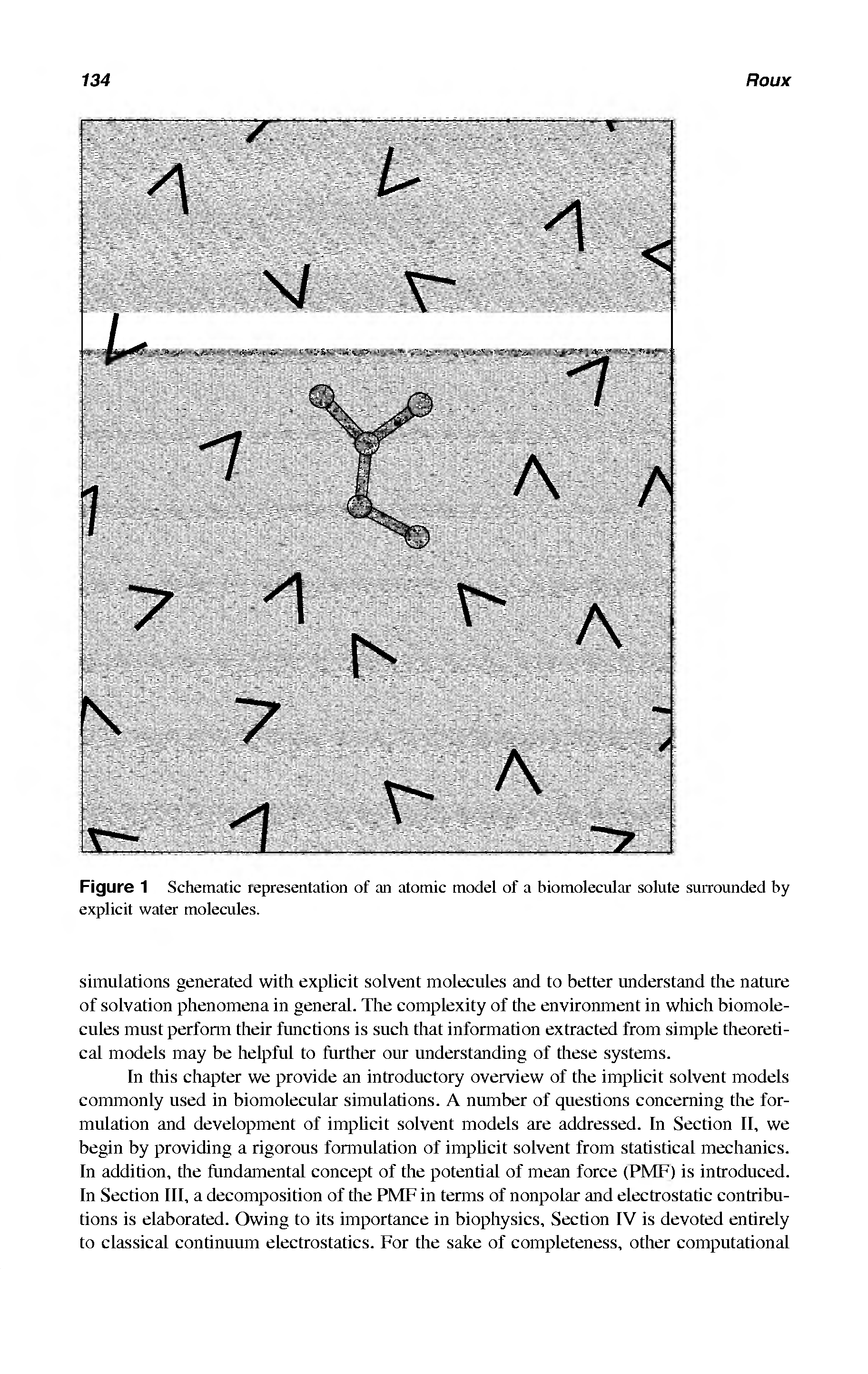 Figure 1 Schematic representation of an atomic model of a biomolecular solute surrounded by explicit water molecules.