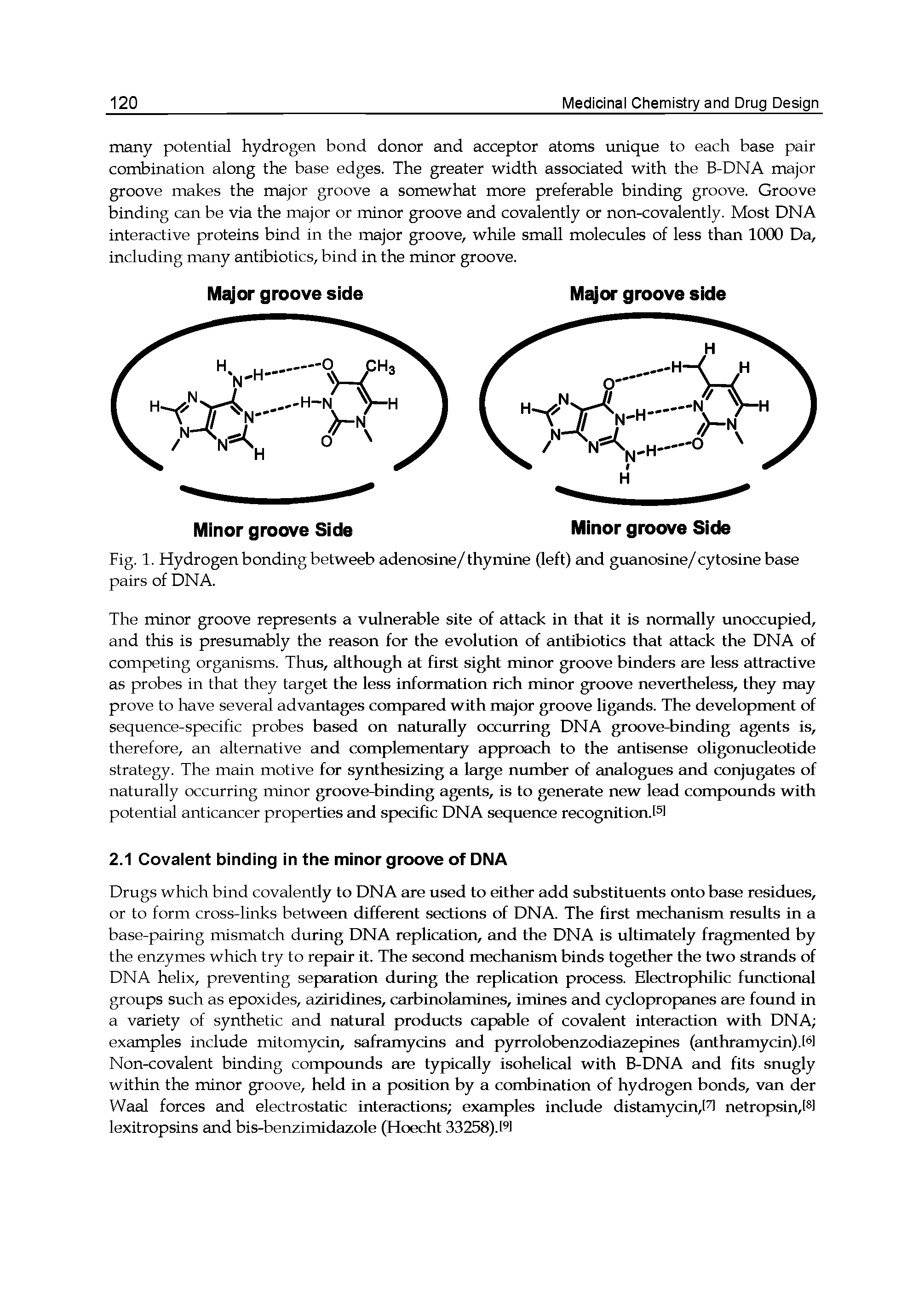 Fig. 1. Hydrogen bonding betweeb adenosine/thymine Oeft) and guanosine/cytosine base pairs of DNA.