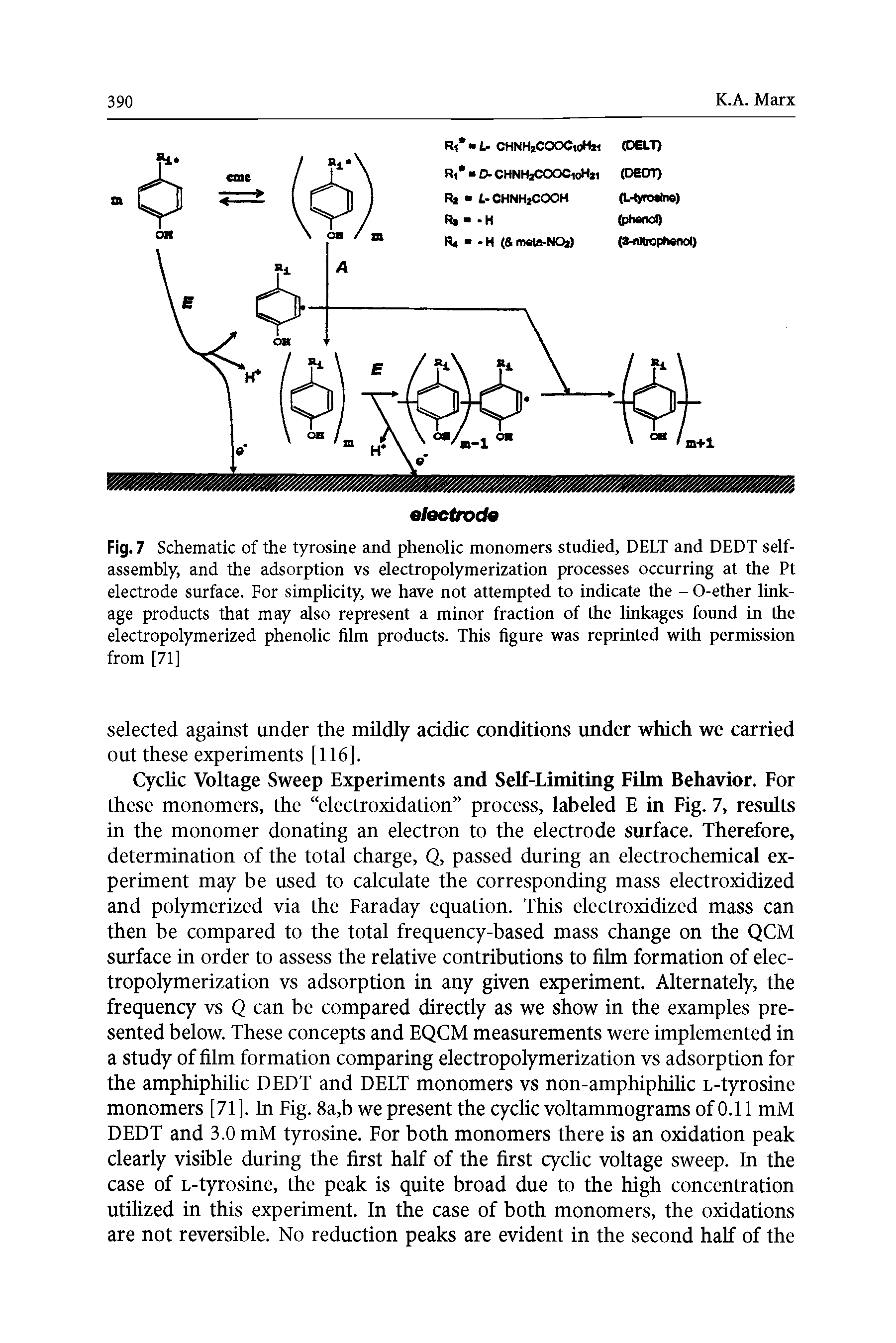 Fig. 7 Schematic of the tyrosine and phenolic monomers studied, DELT and DEDT self-assembly, and the adsorption vs electropolymerization processes occurring at the Pt electrode surface. For simplicity, we have not attempted to indicate the - 0-ether linkage products that may also represent a minor fraction of the linkages foimd in the electropolymerized phenolic film products. This figure was reprinted with permission from [71]...
