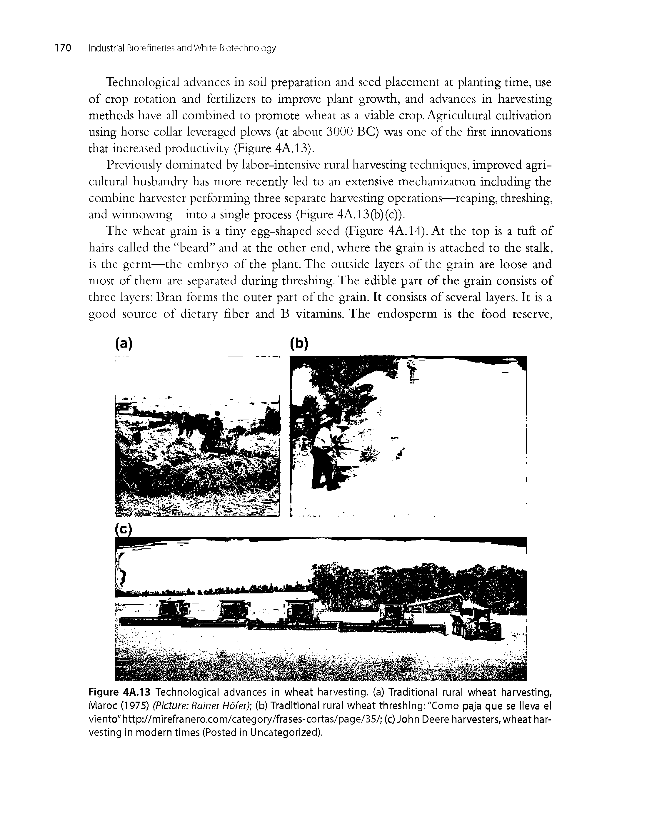 Figure 4A.13 Technological advances in wheat harvesting, (a) Traditional rural wheat harvesting, Maroc (1975) (Picture Rainer Hofer) (b) Traditional rural wheat threshing "Como paja que se lleva el viento"http //mirefranero.com/category/frases-cortas/page/35/ (c) John Deere harvesters, wheat harvesting in modern times (Posted in Uncategorized).