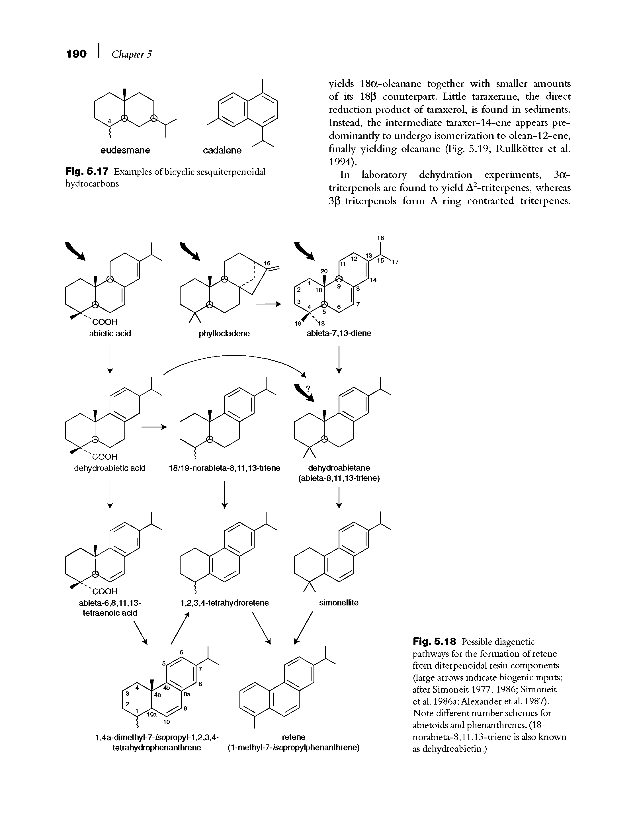 Fig. 5.18 Possible diagenetic pathways for the formation ofretene from diterpenoidal resin components (large arrows indicate biogenic inputs after Simoneit 1977, 1986 Simoneit et al. 1986a Alexander et al. 1987). Note different number schemes for abietoids and phenanthrenes. (18-norabieta-8,ll,13-triene is also known as dehydroabietin.)...