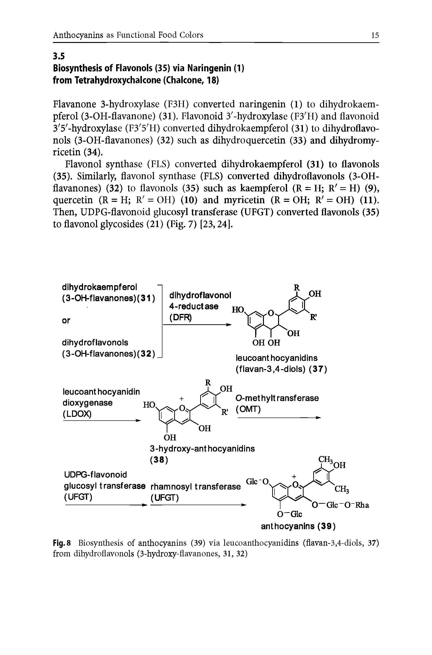Fig. 8 Biosynthesis of anthocyanins (39) via leucoanthocyanidins (flavan-3,4-diols, 37) from dihydroflavonols (3-hydroxy-flavanones, 31, 32)...