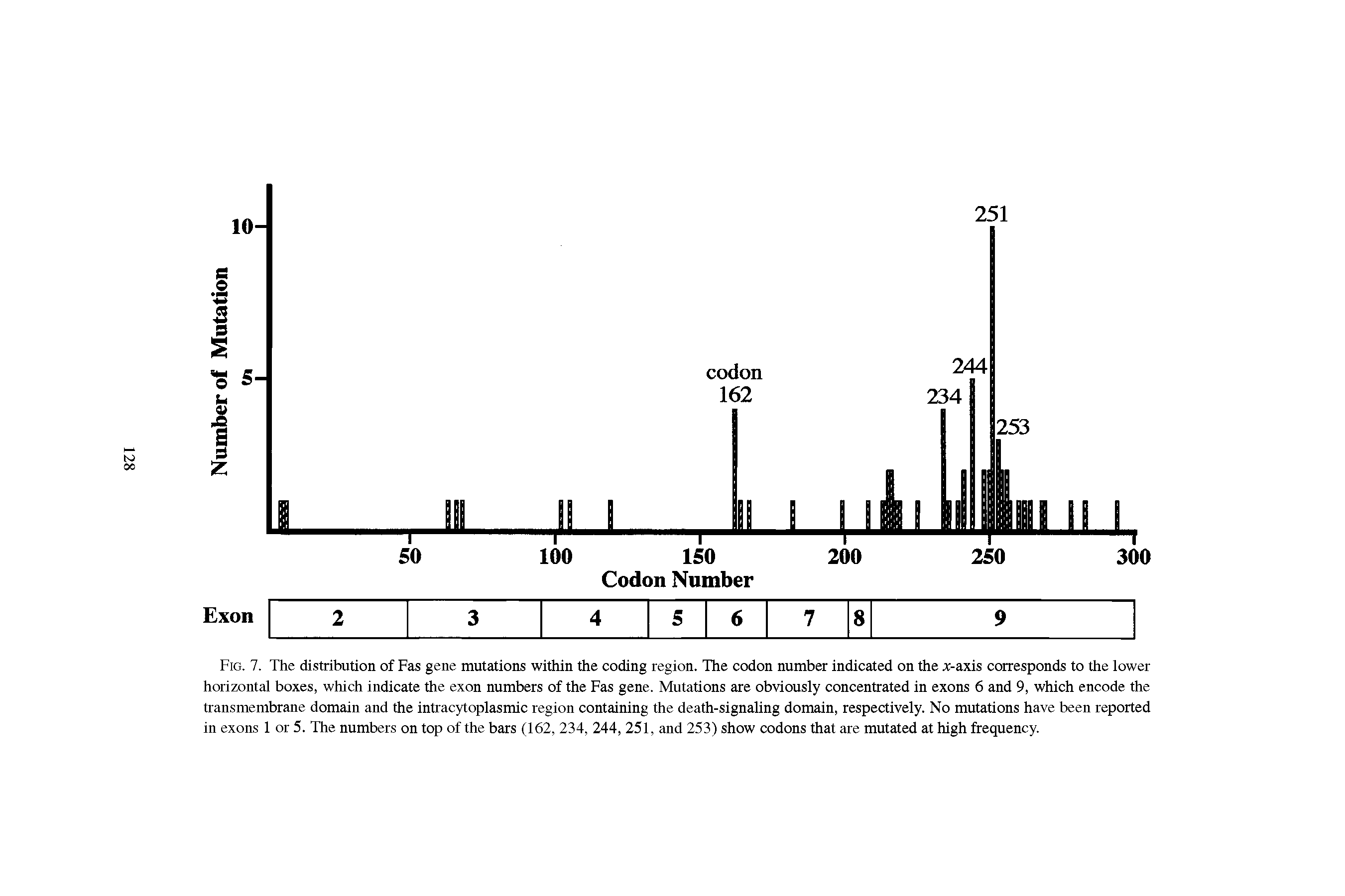 Fig. 7. The distribution of Fas gene mutations within the coding region. The codon number indicated on the x-axis corresponds to the lower horizontal boxes, which indicate the exon numbers of the Fas gene. Mutations are obviously concentrated in exons 6 and 9, which encode the transmembrane domain and the intracytoplasmic region containing the death-signaling domain, respectively. No mutations have been reported in exons 1 or 5. The numbers on top of the bars (162, 234, 244, 251, and 253) show codons that are mutated at high frequency.