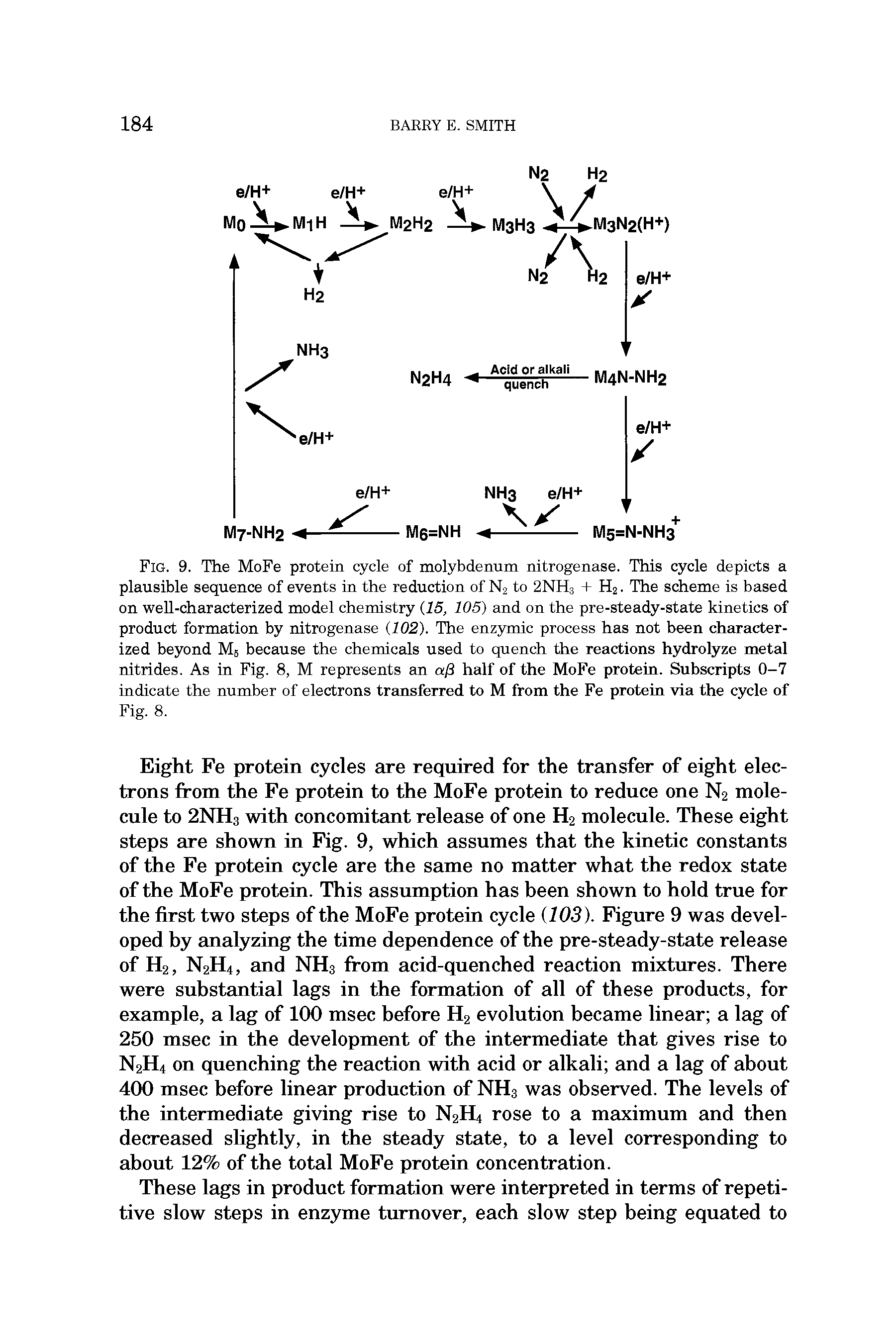 Fig. 9. The MoFe protein cycle of molybdenum nitrogenase. This cycle depicts a plausible sequence of events in the reduction of N2 to 2NH3 + H2. The scheme is based on well-characterized model chemistry (15, 105) and on the pre-steady-state kinetics of product formation by nitrogenase (102). The enzymic process has not been chsiracter-ized beyond M5 because the chemicals used to quench the reactions hydrolyze metal nitrides. As in Fig. 8, M represents an aji half of the MoFe protein. Subscripts 0-7 indicate the number of electrons trsmsferred to M from the Fe protein via the cycle of Fig. 8.