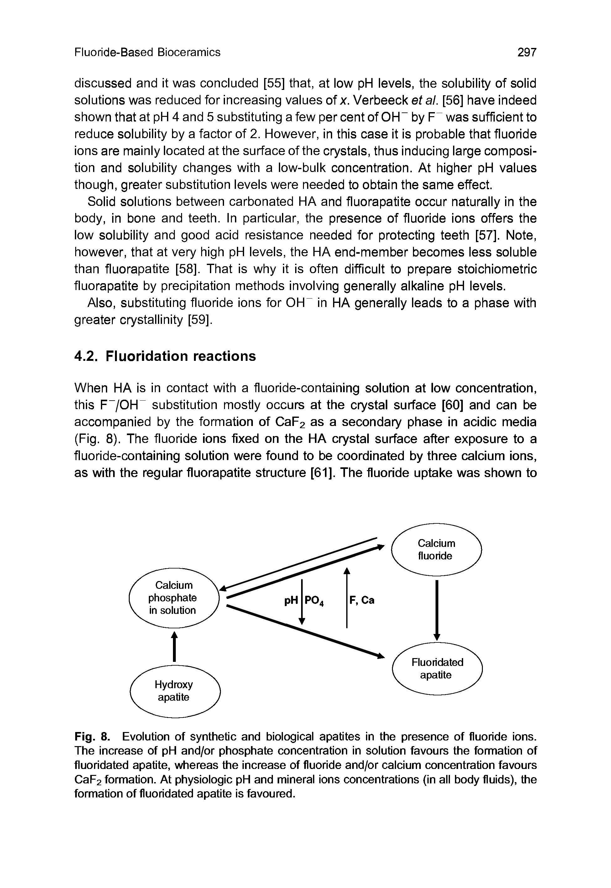 Fig. 8. Evolution of synthetic and biological apatites in the presence of fluoride ions. The increase of pH and/or phosphate concentration in solution favours the formation of fluoridated apatite, whereas the increase of fluoride and/or calcium concentration favours CaF2 formation. At physiologic pH and mineral ions concentrations (in all body fluids), the formation of fluoridated apatite is favoured.