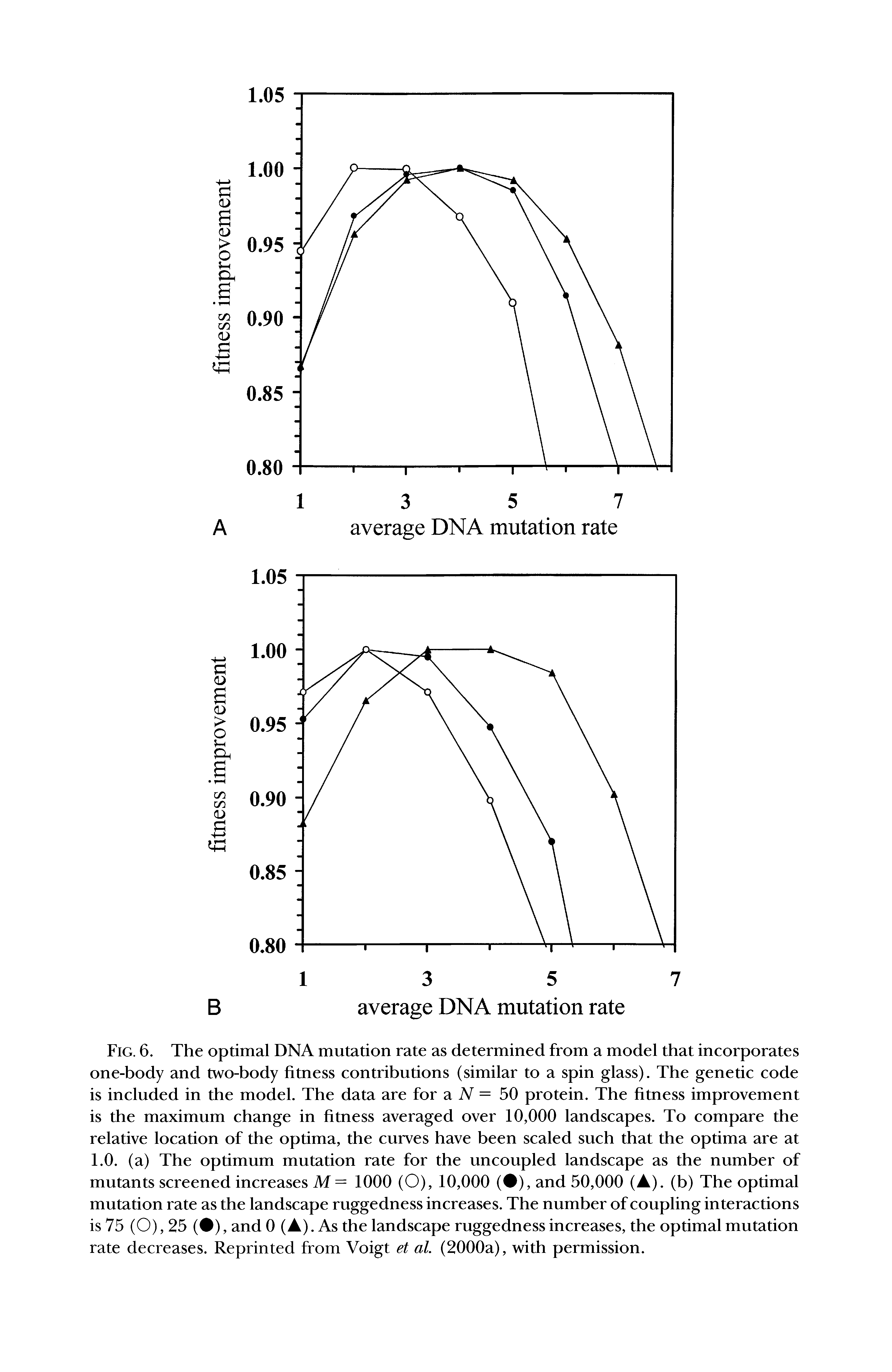 Fig. 6. The optimal DNA mutation rate as determined from a model that incorporates one-body and two-body fitness contributions (similar to a spin glass). The genetic code is included in the model. The data are for a N = 50 protein. The fitness improvement is the maximum change in fitness averaged over 10,000 landscapes. To compare the relative location of the optima, the curves have been scaled such that the optima are at 1.0. (a) The optimum mutation rate for the uncoupled landscape as the number of mutants screened increases M= 1000 (O), 10,000 ( ), and 50,000 (A), (b) The optimal mutation rate as the landscape ruggedness increases. The number of coupling interactions is 75 (O), 25 ( ), and 0 (A). As the landscape ruggedness increases, the optimal mutation rate decreases. Reprinted from Voigt et ol. (2000a), with permission.
