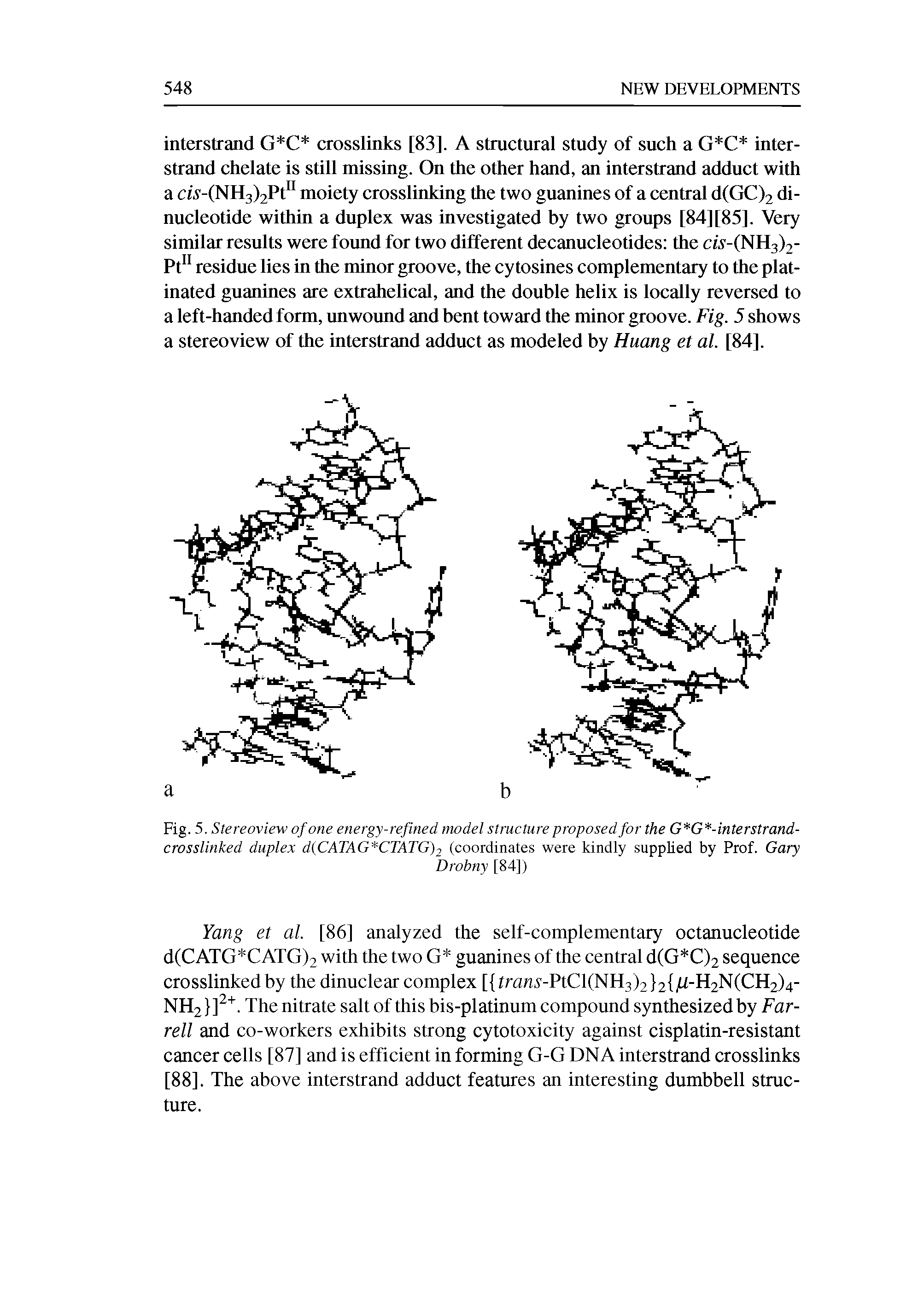 Fig. 5. Stereoview of one energy-refined model structure proposed for the G G -interstrand-crosslinked duplex d(CATAG CTATG)2 (coordinates were kindly supplied by Prof. Gary...
