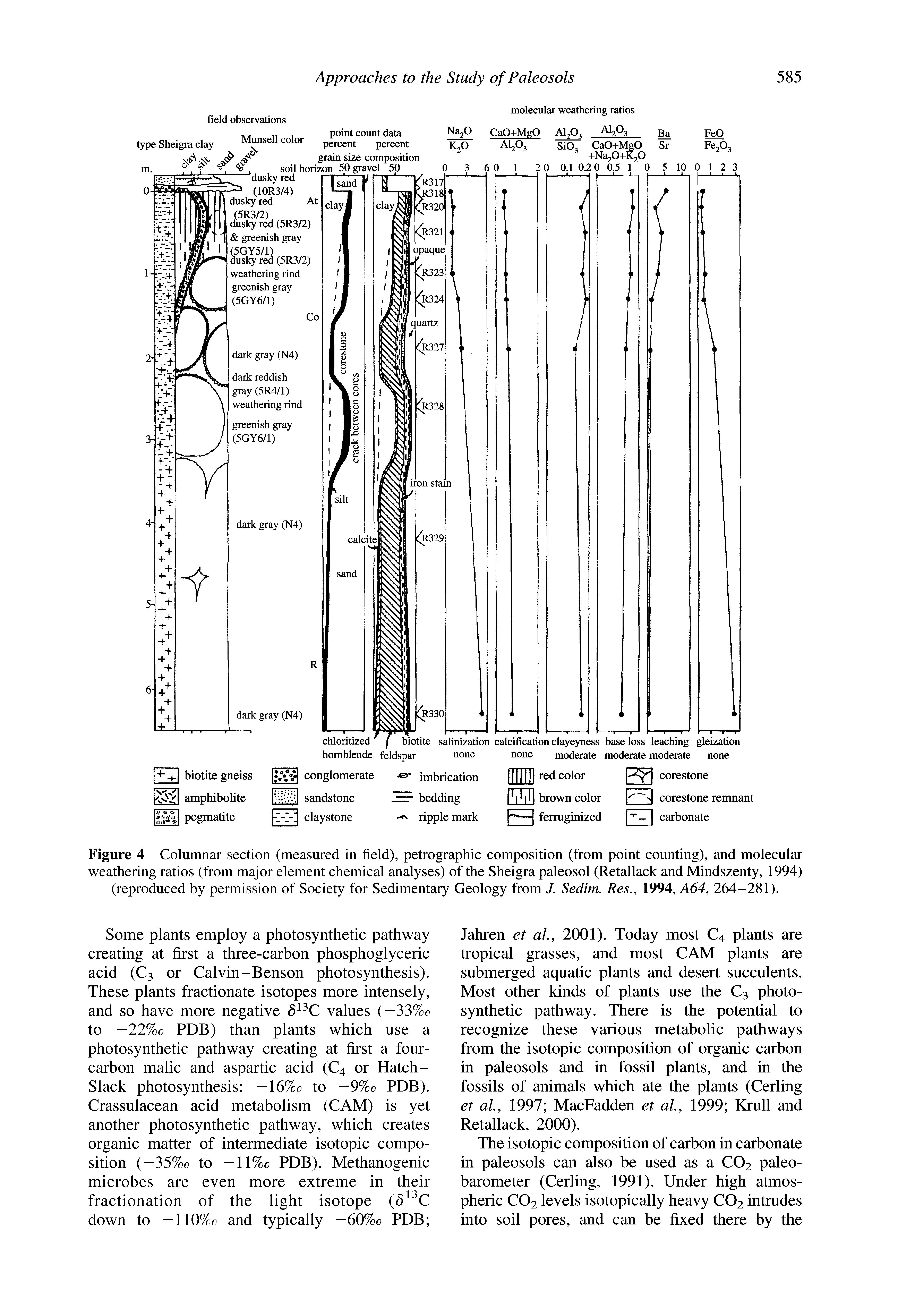 Figure 4 Columnar section (measured in field), petrographic composition (from point counting), and molecular weathering ratios (from major element chemical analyses) of the Sheigra paleosol (Retallack and Mindszenty, 1994) (reproduced by permission of Society for Sedimentary Geology from J. Sedim. Res., 1994, A64, 264-281).