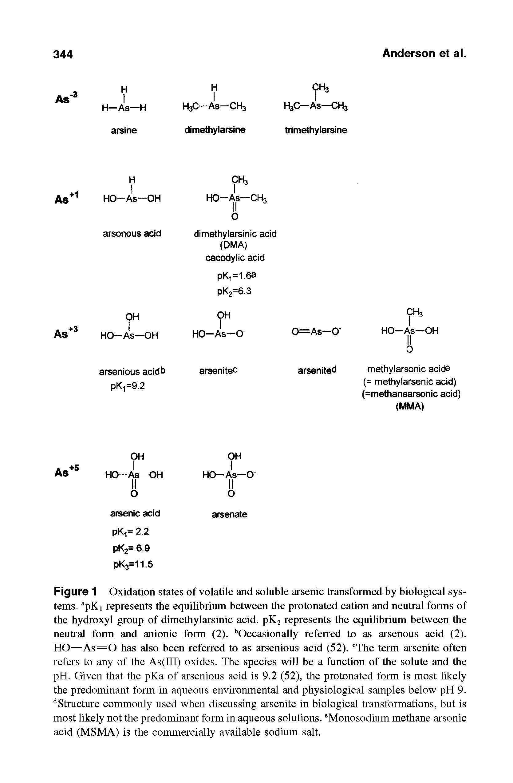 Figure 1 Oxidation states of volatile and soluble arsenic transformed by biological systems. pKi represents the equilibrium between the protonated cation and neutral forms of the hydroxyl group of dimethylarsinic acid. pKj represents the equilibrium between the neutral form and anionic form (2). Occasionally referred to as arsenous acid (2). HO—As=0 has also been referred to as arsenious acid (52). The term arsenite often refers to any of the As(lll) oxides. The species will be a function of the solute and the pH. Given that the pKa of arsenious acid is 9.2 (52), the protonated form is most likely the predominant form in aqueous environmental and physiological samples below pH 9. Structure commonly used when discussing arsenite in biological transformations, but is most likely not the predominant form in aqueous solutions. Monosodium methane arsonic acid (MSMA) is the commercially available sodium salt.