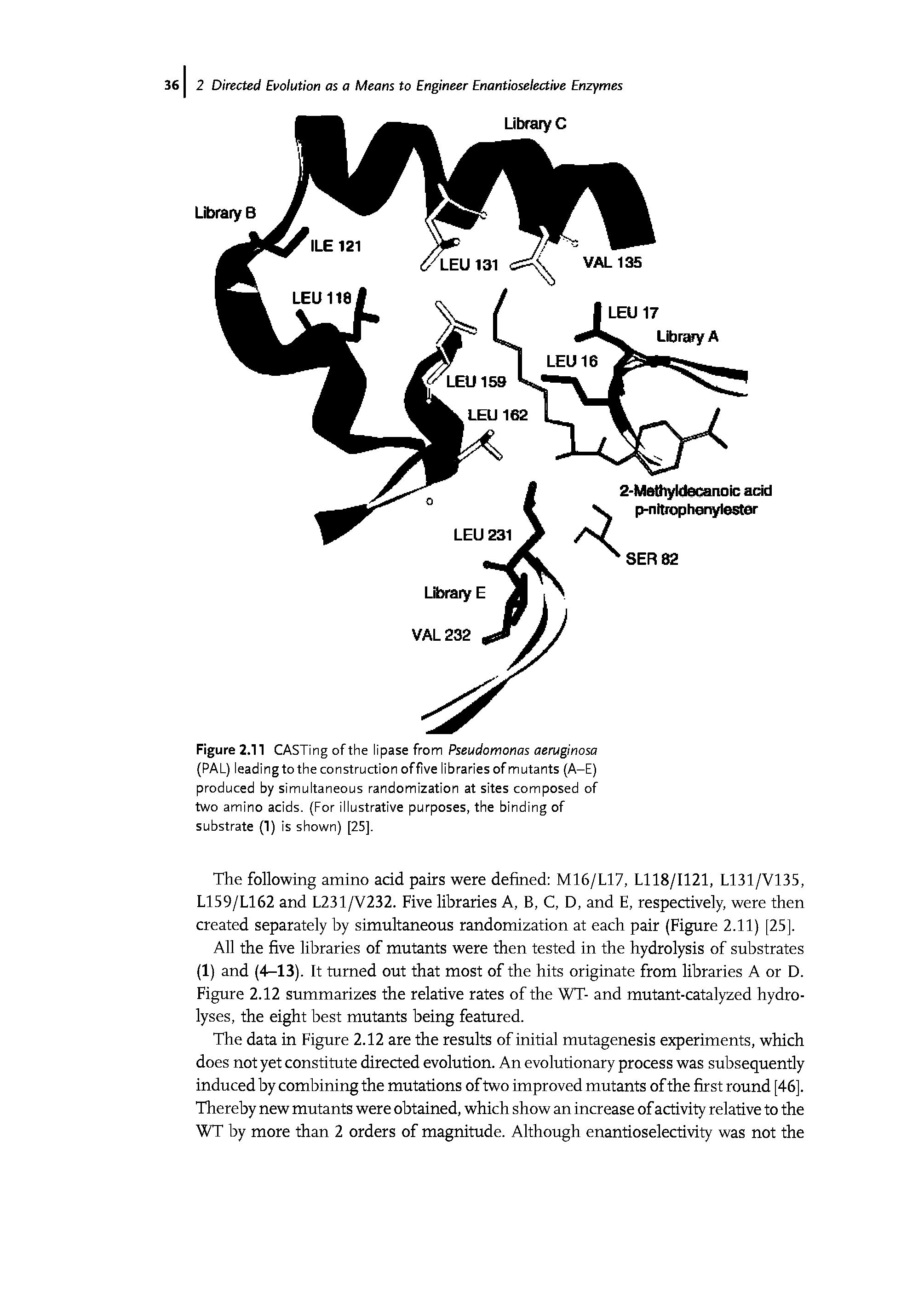 Figure 2.11 CASTing of the lipase from Pseudomonas aeruginosa (PAL) leading to the construction of five libraries of mutants (A-E) produced by simultaneous randomization at sites composed of two amino acids. (For illustrative purposes, the binding of substrate (1) is shown) [25],...