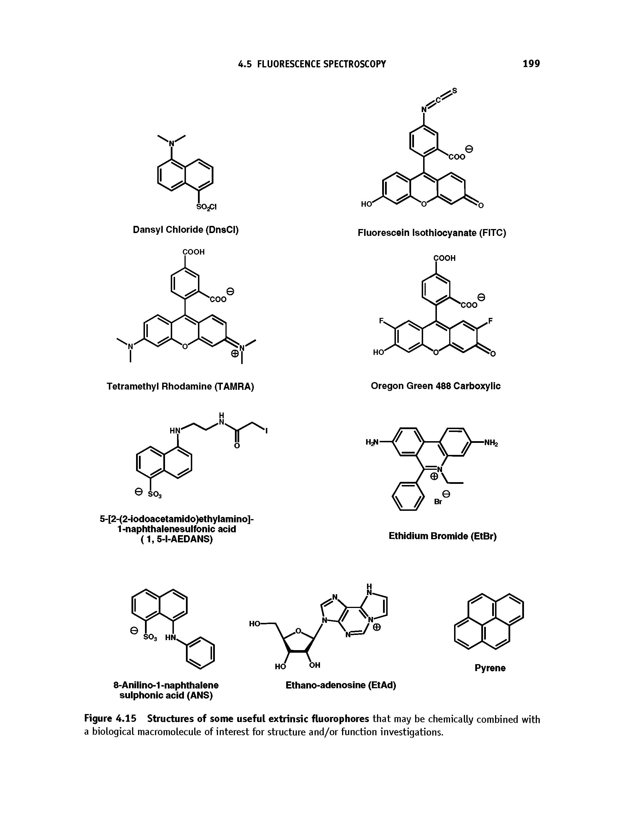 Figure 4.15 Structures of some useful extrinsic fluorophores that may be chemically combined with a biological macromolecule of interest for structure and/or function investigations.