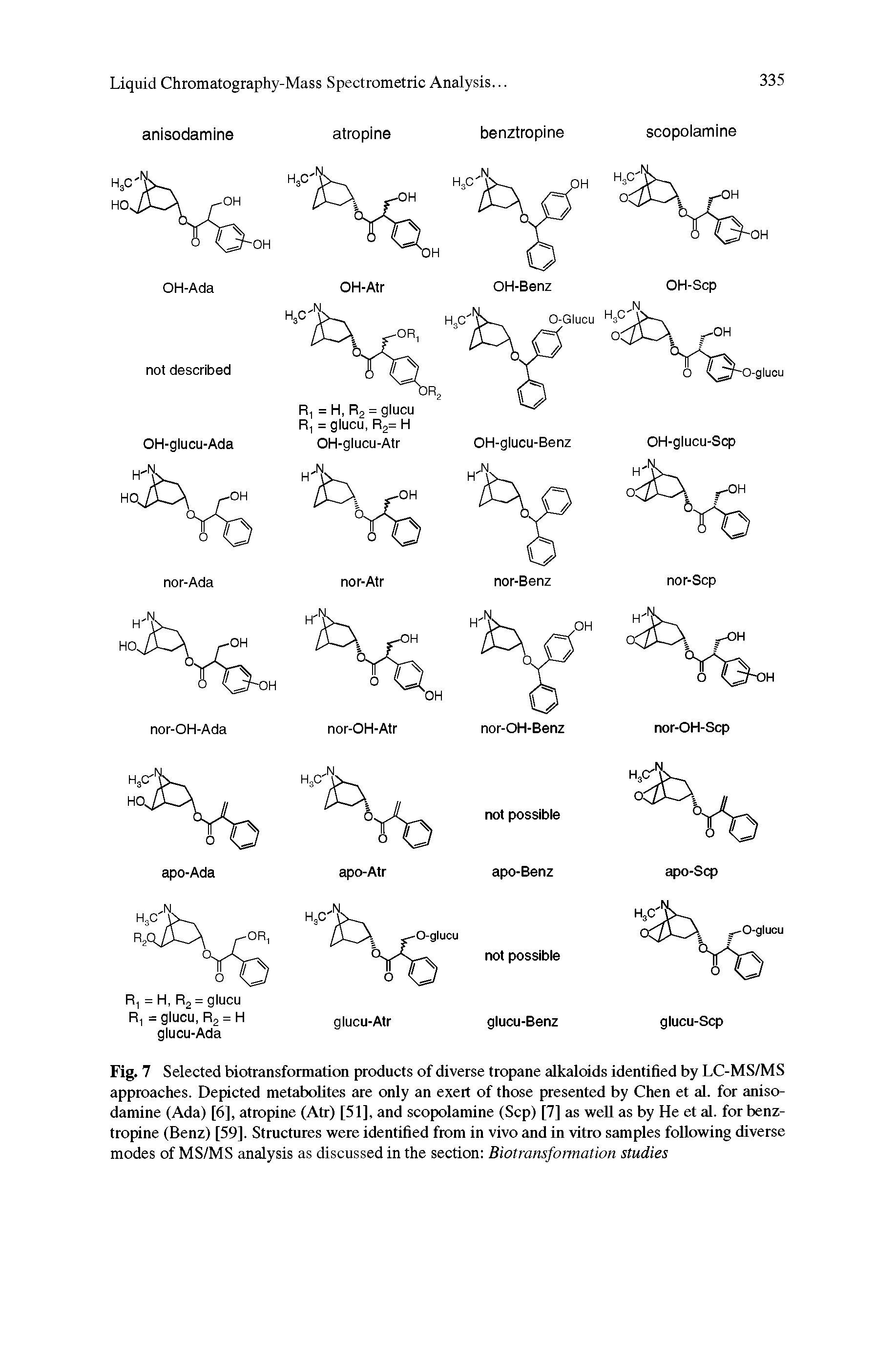 Fig. 7 Selected biotransformation products of diverse tropane alkaloids identified by LC-MS/MS approaches. Depicted metabolites are only an exert of those presented by Chen et al. for anisodamine (Ada) [6], atropine (Atr) [51], and scopolamine (Sep) [7] as well as by He et al. for benztropine (Benz) [59]. Structures were identified from in vivo and in vitro samples following diverse modes of MS/MS analysis as discussed in the section Biotransformation studies...