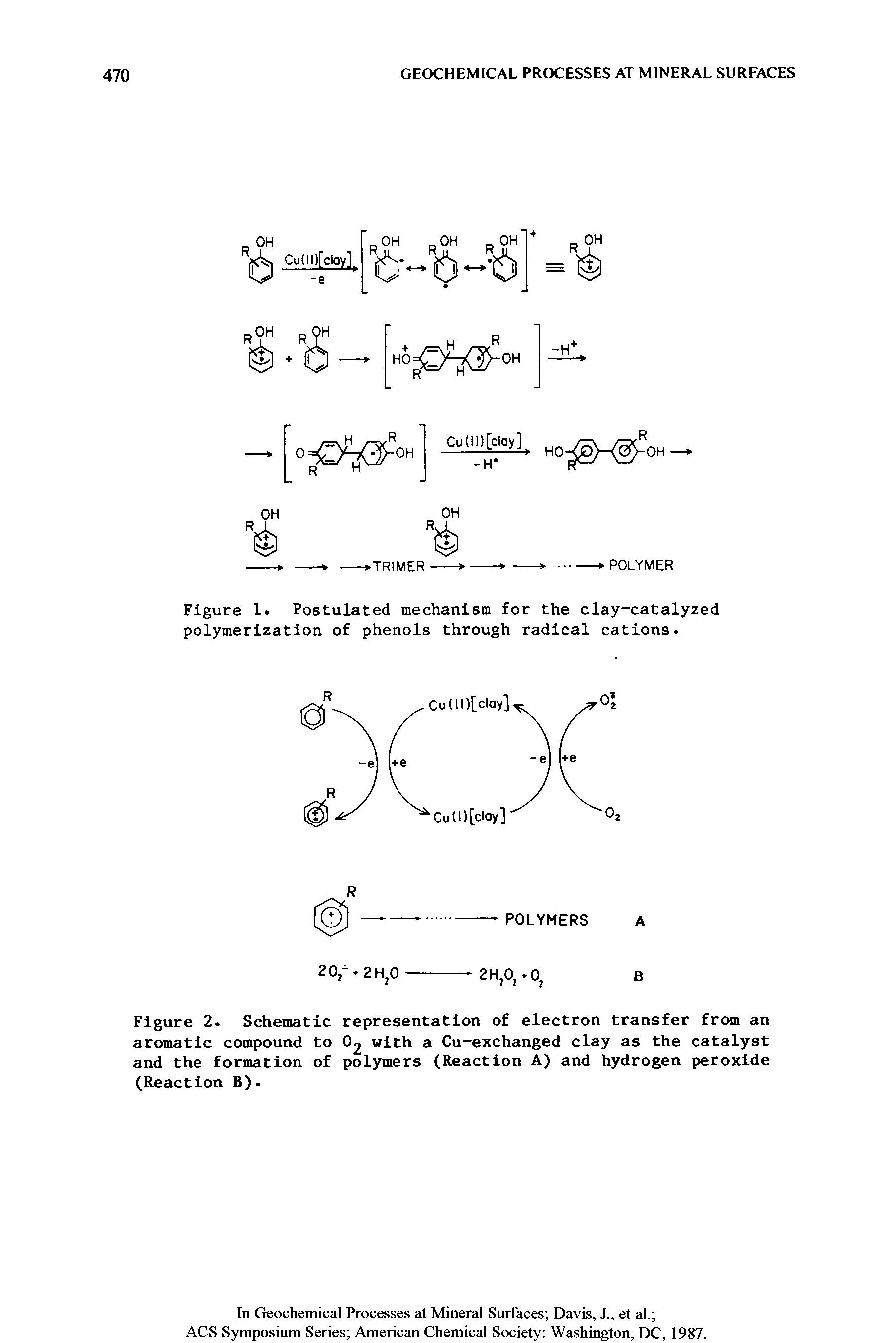 Figure 1. Postulated mechanism for the clay-catalyzed polymerization of phenols through radical cations.