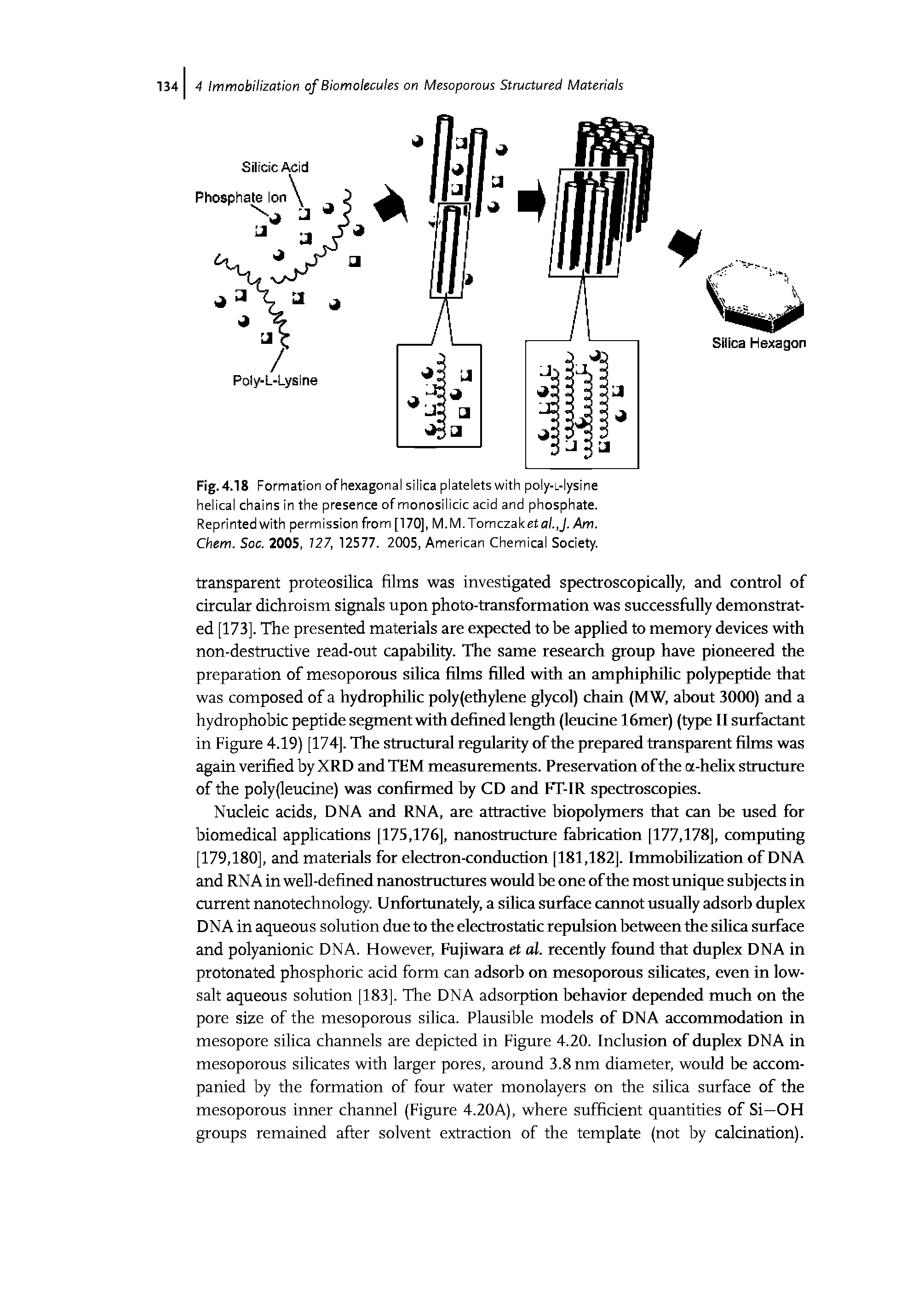 Fig. 4.18 Formation ofhexagonal silica platelets with poly-L-lysine helical chains in the presence of monosilicic acid and phosphate. Reprinted with permission from [170], M.M.Tomczaketa/.J. Am. Chem. Soc. 2005, 727, 12577. 2005, American Chemical Society.