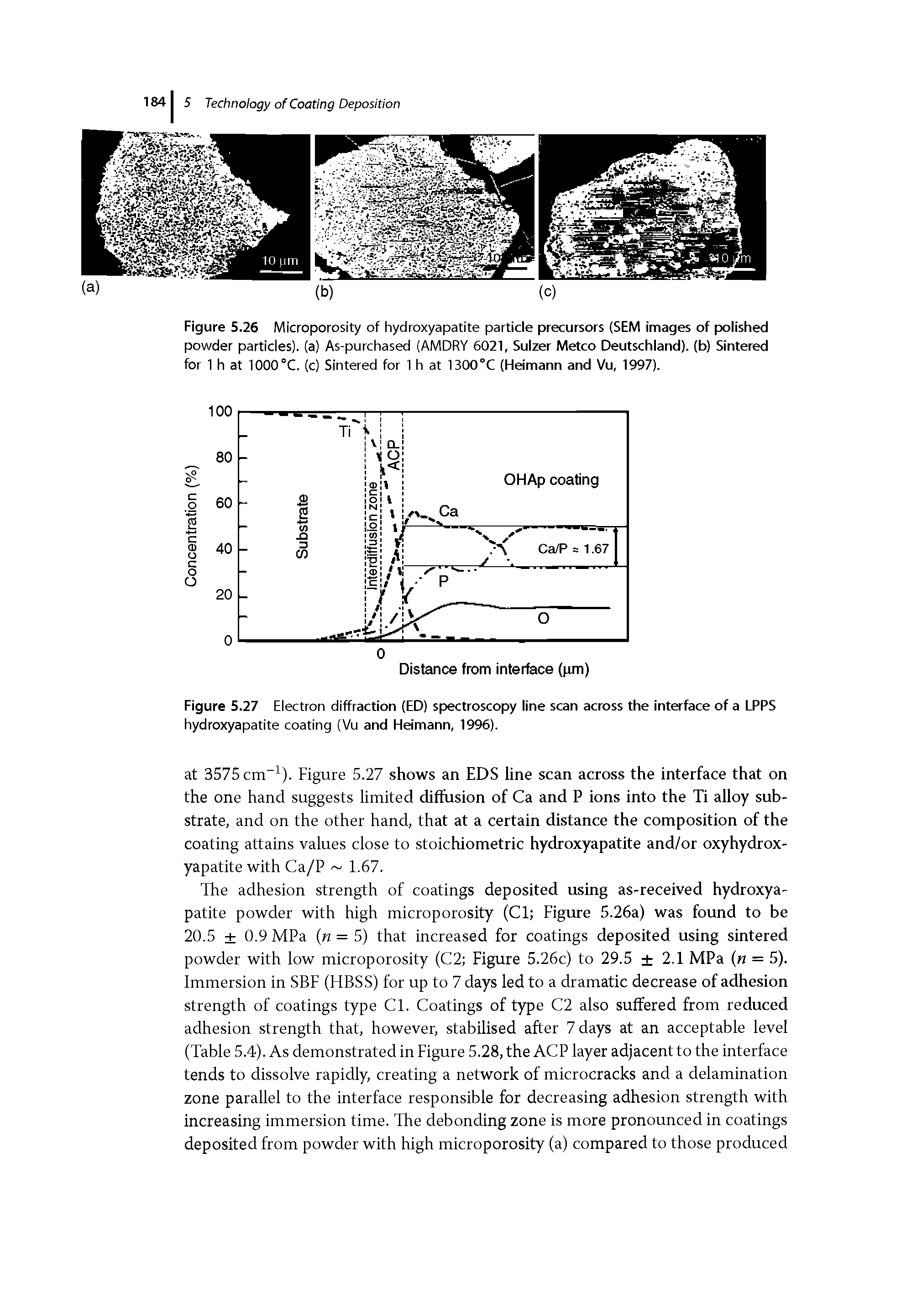 Figure 5.26 Microporosity of hydroxyapatite particle precursors (SEM images of polished powder particles), (a) As-purchased (AMDRY 6021, Sulzer Metco Deutschland), (b) Sintered for 1 h at 1000°C. (c) Sintered for 1 h at 1300°C (Heimann and Vu, 1997).