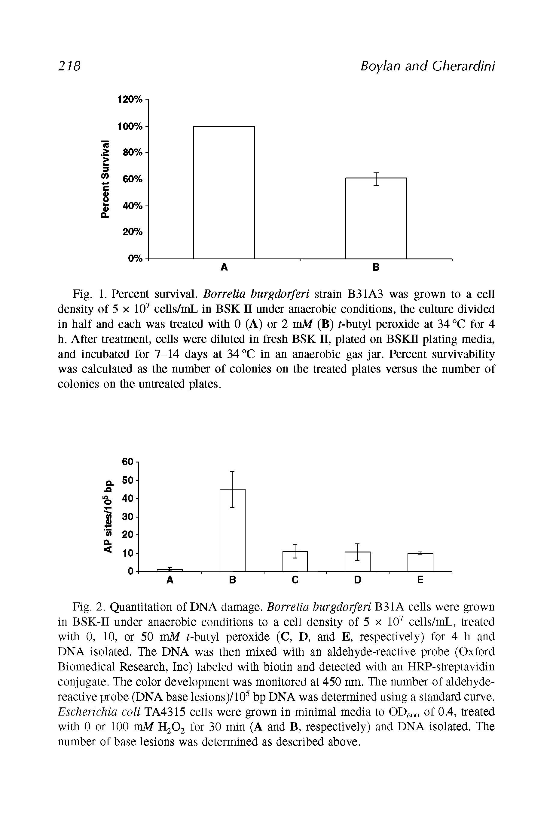 Fig. 2. Quantitation of DNA damage. Borrelia burgdorferi B31A cells were grown in BSK-II under anaerobic conditions to a cell density of 5 x 10 cells/mL, treated with 0, 10, or 50 mM f-butyl peroxide (C, D, and E, respectively) for 4 h and DNA isolated. The DNA was then mixed with an aldehyde-reactive probe (Oxford Biomedical Research, Inc) labeled with biotin and detected with an HRP-streptavidin conjugate. The color development was monitored at 450 nm. The number of aldehyde-reactive probe (DNA base lesions)/10 bp DNA was determined using a standard curve. Escherichia coli TA4315 cells were grown in minimal media to ODgoo of 0.4, treated with 0 or 100 mM H2O2 for 30 min (A and B, respectively) and DNA isolated. The number of base lesions was determined as described above.