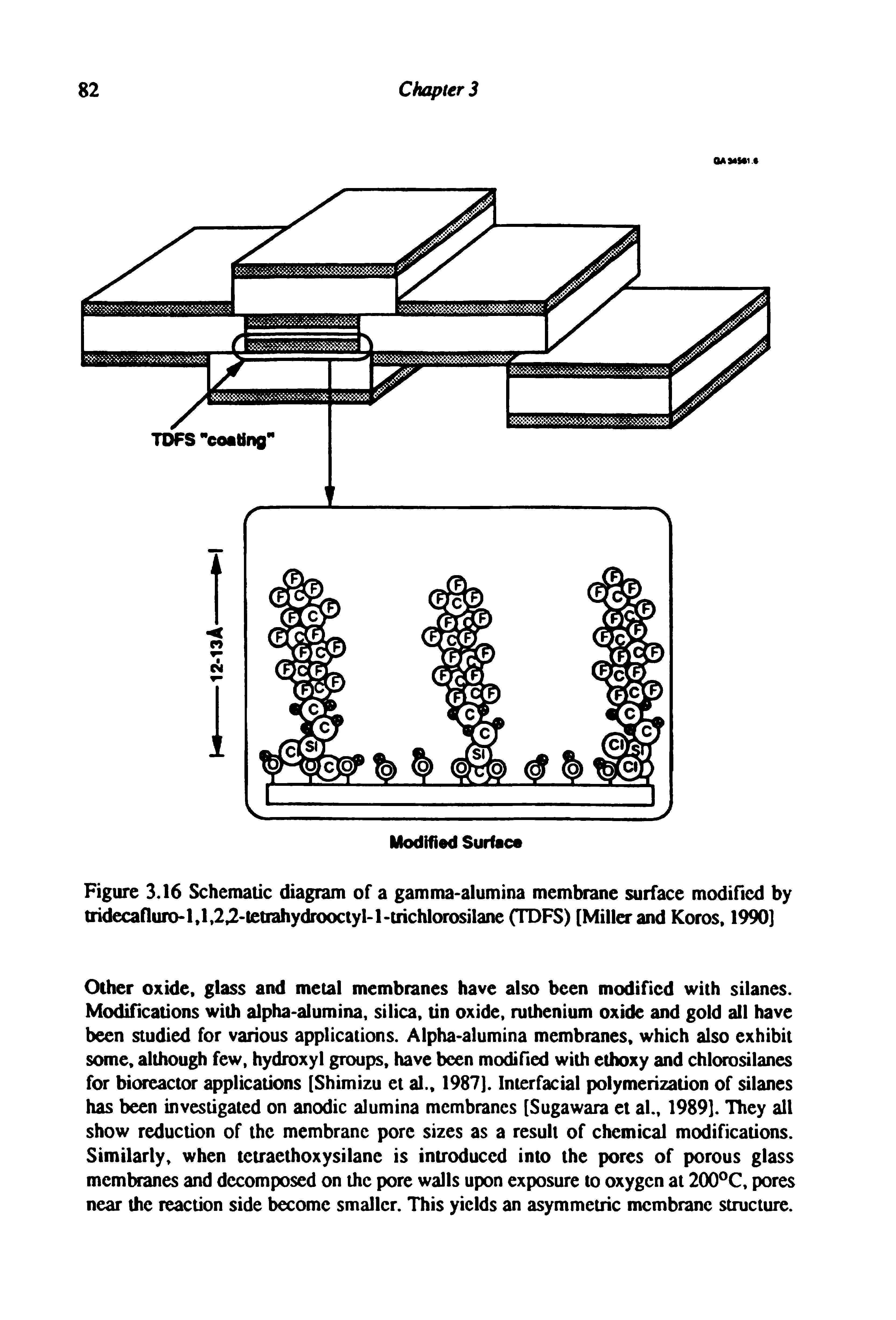 Figure 3.16 Schematic diagram of a gamma-alumina membrane surface modified by tridecafluro-l,l,2 -ietiahydrooctyM-crichlorosilane (TDFS) [Miller and Koros, 1990]...