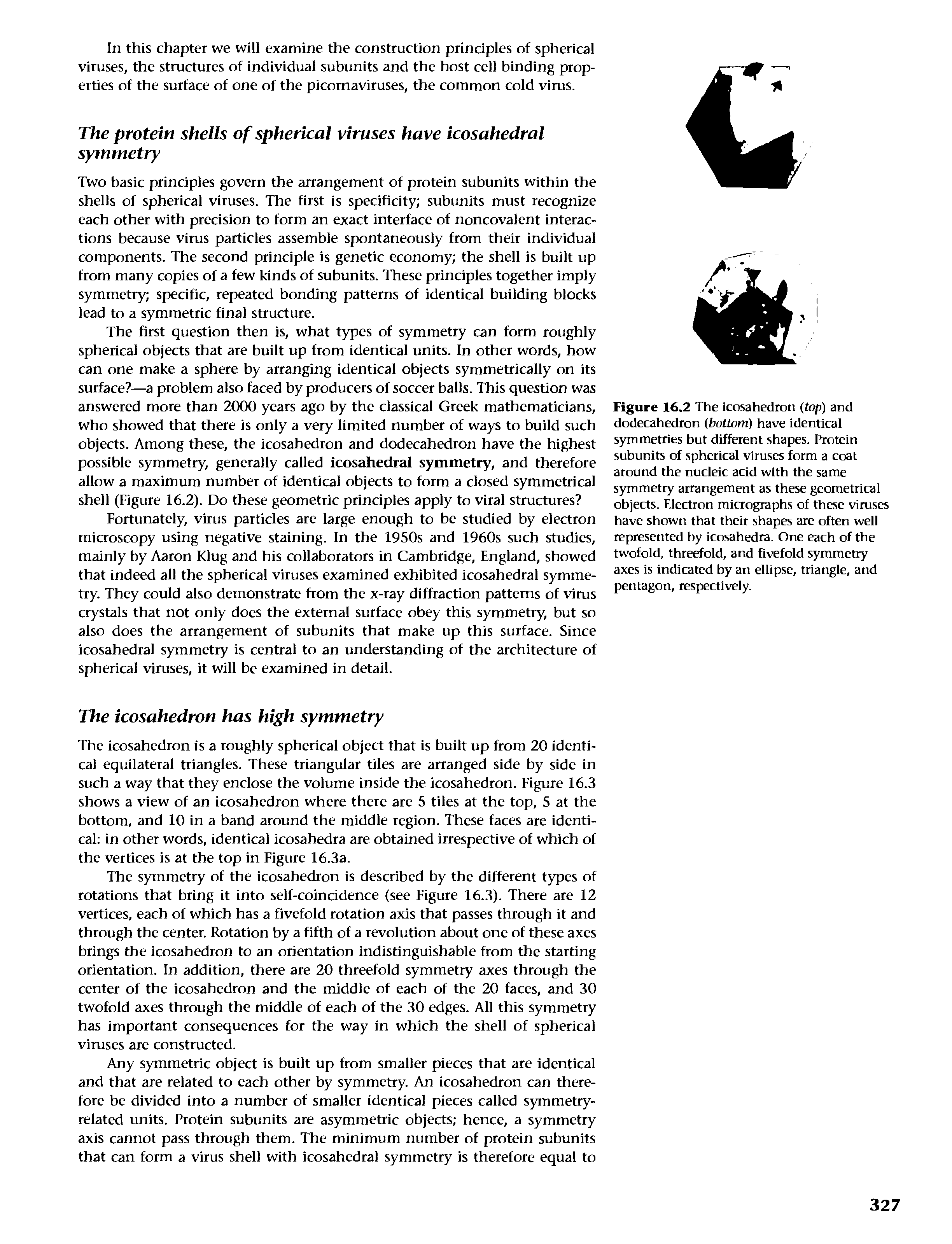 Figure 16.2 The icosahedron (top) and dodecahedron (bottom) have identical symmetries but different shapes. Protein subunits of spherical viruses form a coat around the nucleic acid with the same symmetry arrangement as these geometrical objects. Electron micrographs of these viruses have shown that their shapes are often well represented by icosahedra. One each of the twofold, threefold, and fivefold symmetry axes is indicated by an ellipse, triangle, and pentagon, respectively.