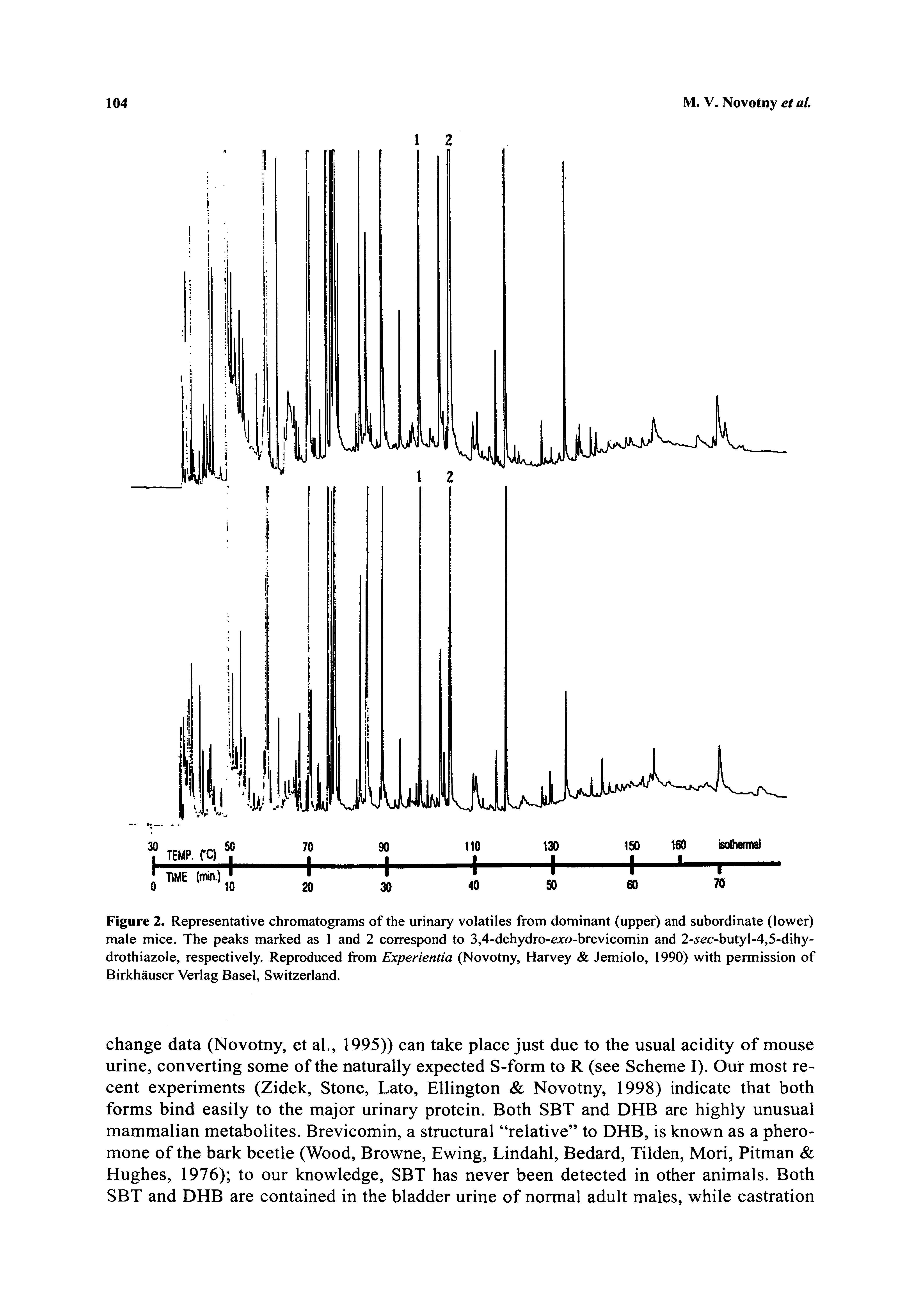 Figure 2. Representative chromatograms of the urinary volatiles from dominant (upper) and subordinate (lower) male mice. The peaks marked as 1 and 2 correspond to 3,4-dehydro-cxo-brevicomin and 2-.yec-butyl-4,5-dihy-drothiazole, respectively. Reproduced from Experientia (Novotny, Harvey Jemiolo, 1990) with permission of Birkhauser Verlag Basel, Switzerland.