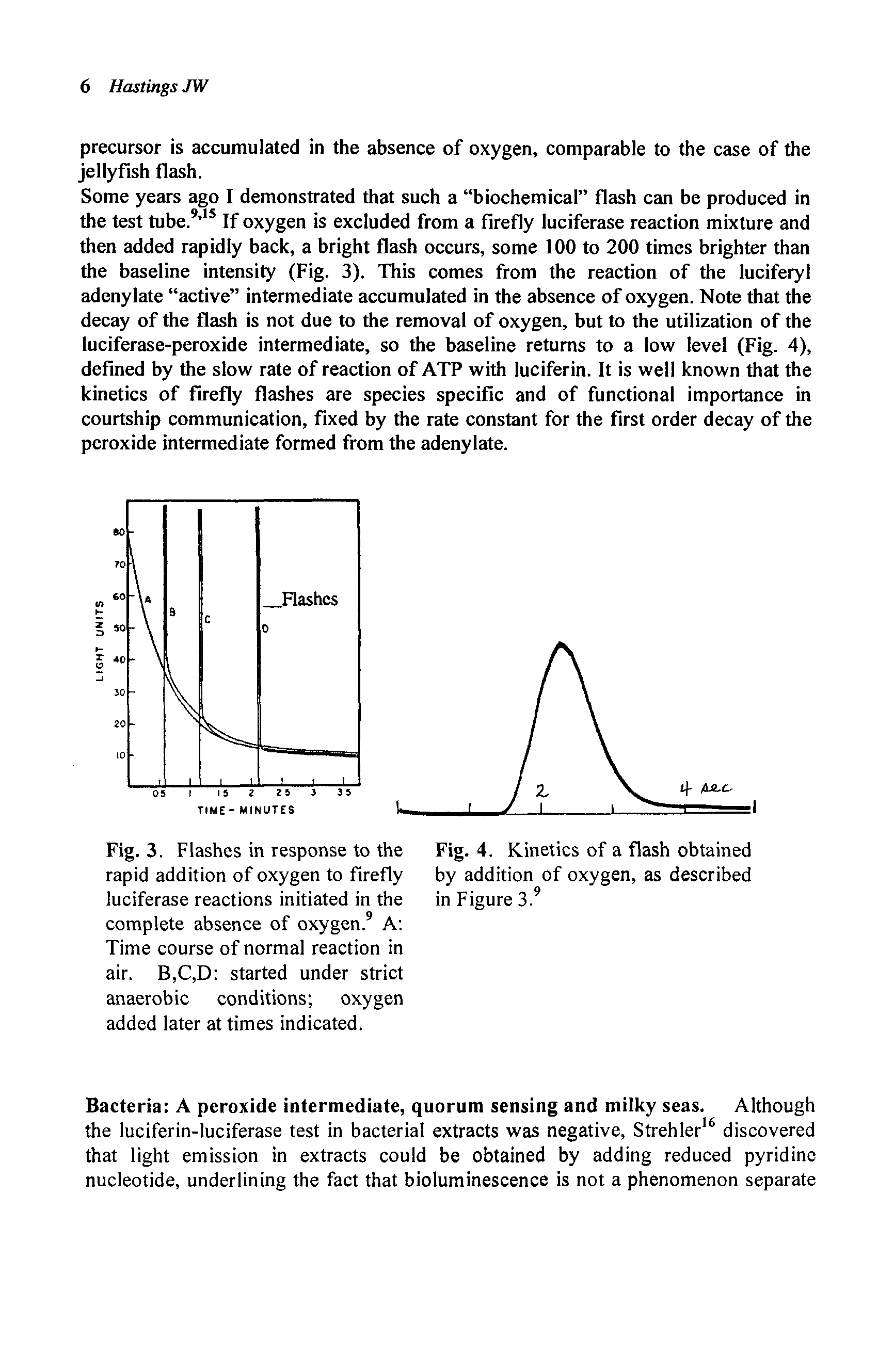Fig. 3. Flashes in response to the rapid addition of oxygen to firefly luciferase reactions initiated in the complete absence of oxygen.9 A Time course of normal reaction in air. B,C,D started under strict anaerobic conditions oxygen added later at times indicated.