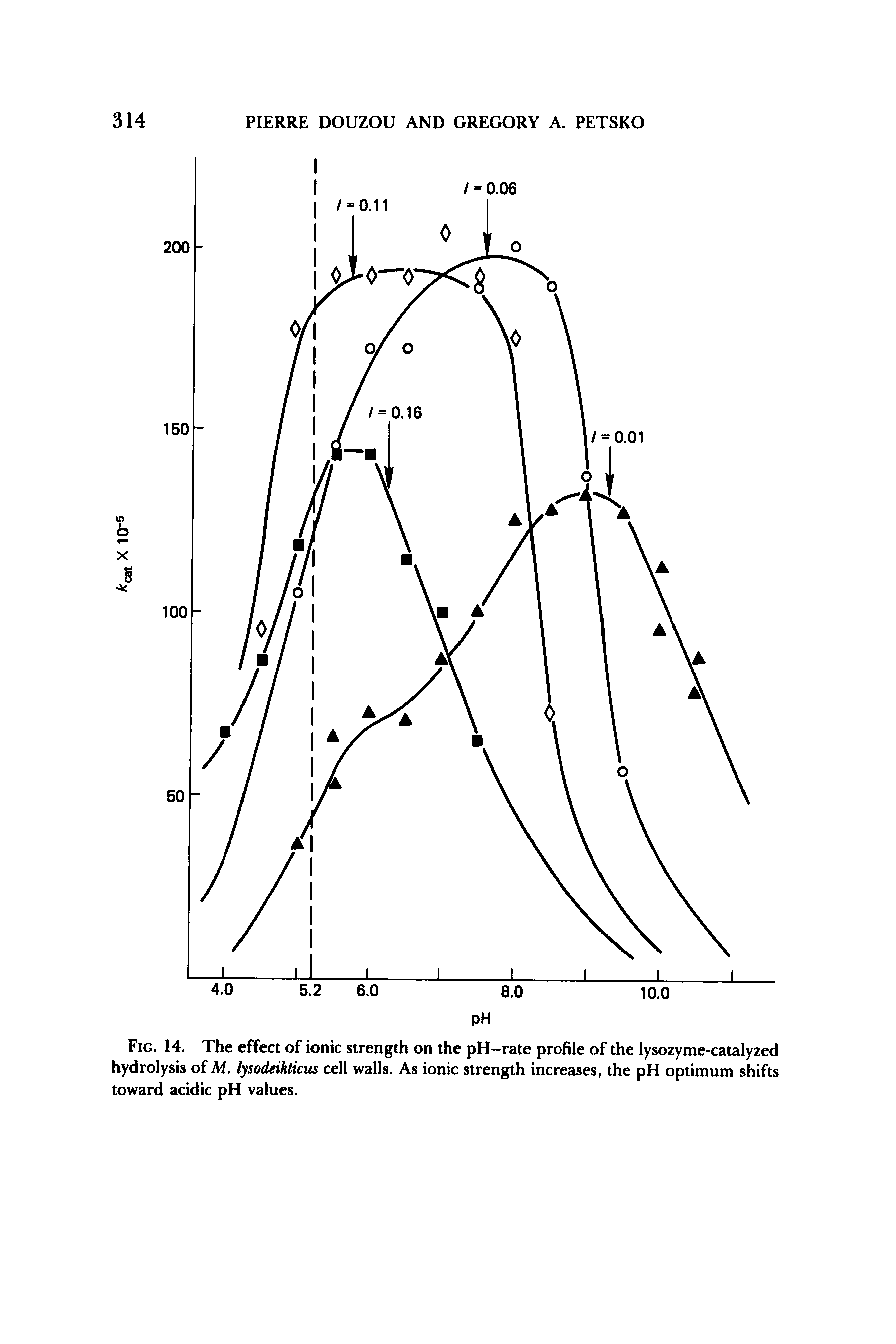Fig. 14. The effect of ionic strength on the pH-rate profile of the lysozyme-catalyzed hydrolysis ofM. lysodeikticus cell walls. As ionic strength increases, the pH optimum shifts toward acidic pH values.