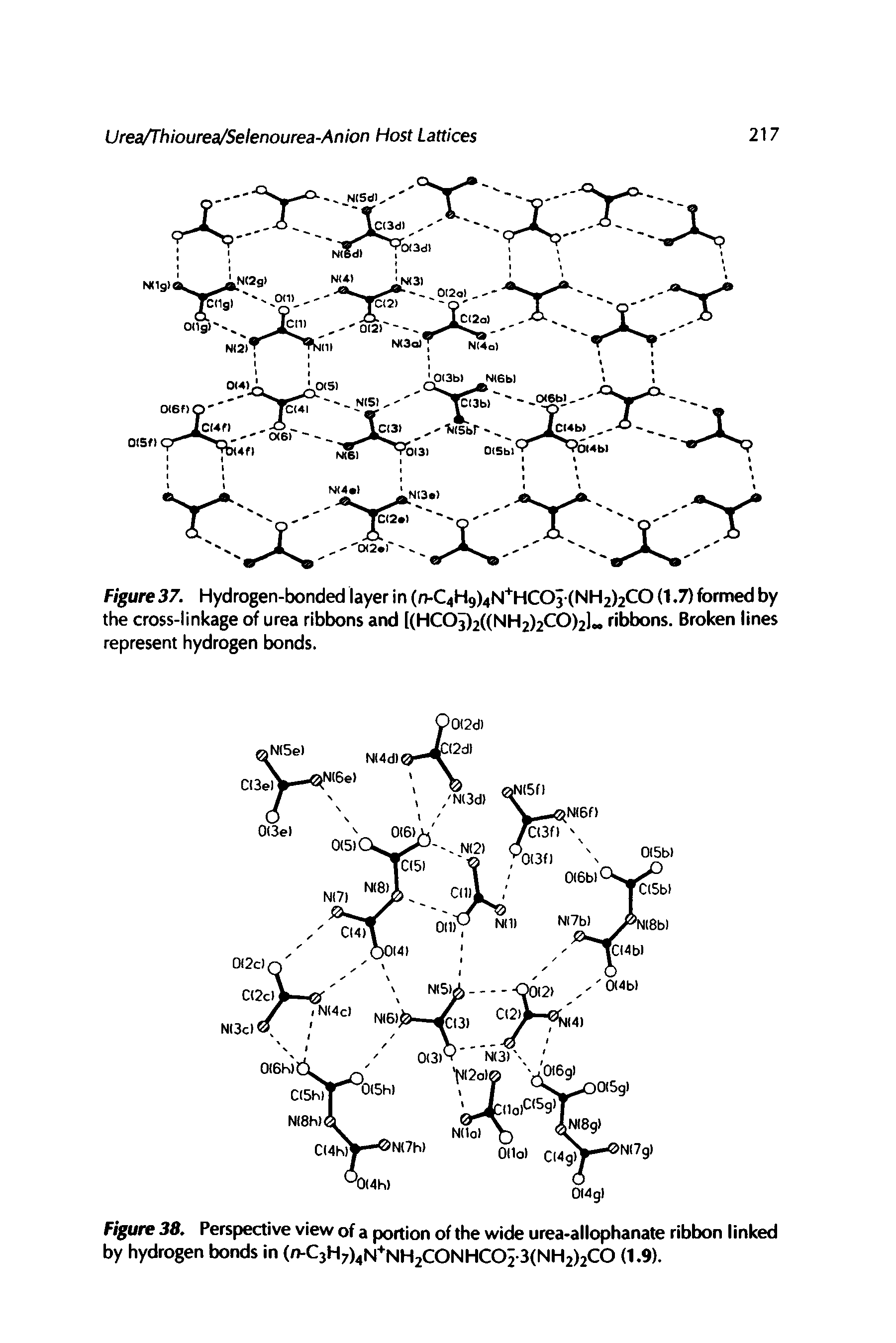 Figure 38. Perspective view of a portion of the wide urea-allophanate ribbon linked by hydrogen bonds in (rvCjH7)4N+NH2CONHCOi-3(NH2)2CO (1.9).