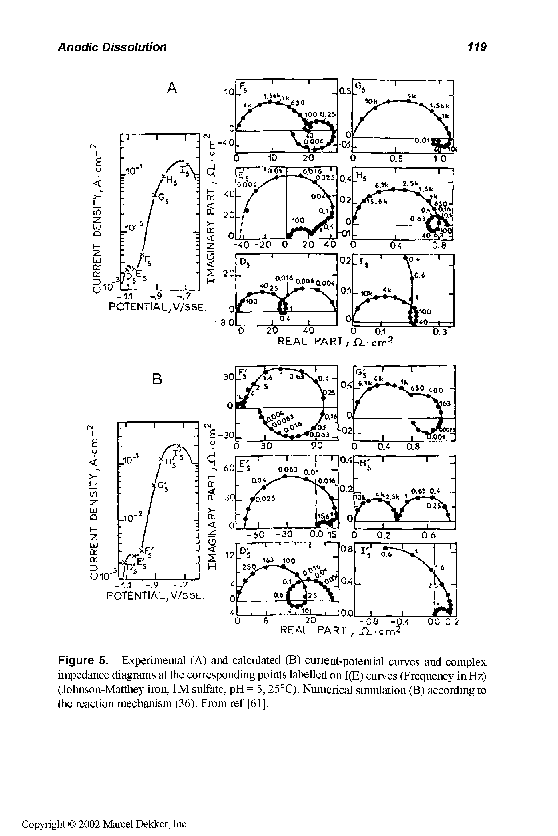 Figure 5. Experimental (A) and calculated (B) current-potential curves and complex impedance diagrams at the corresponding points labelled on 1(E) curves (Frequency in Hz) (Johnson-Matthey iron, 1M sulfate, pH = 5, 25°C). Numerical simulation (B) according to the reaction mechanism (36). From ref [61],...