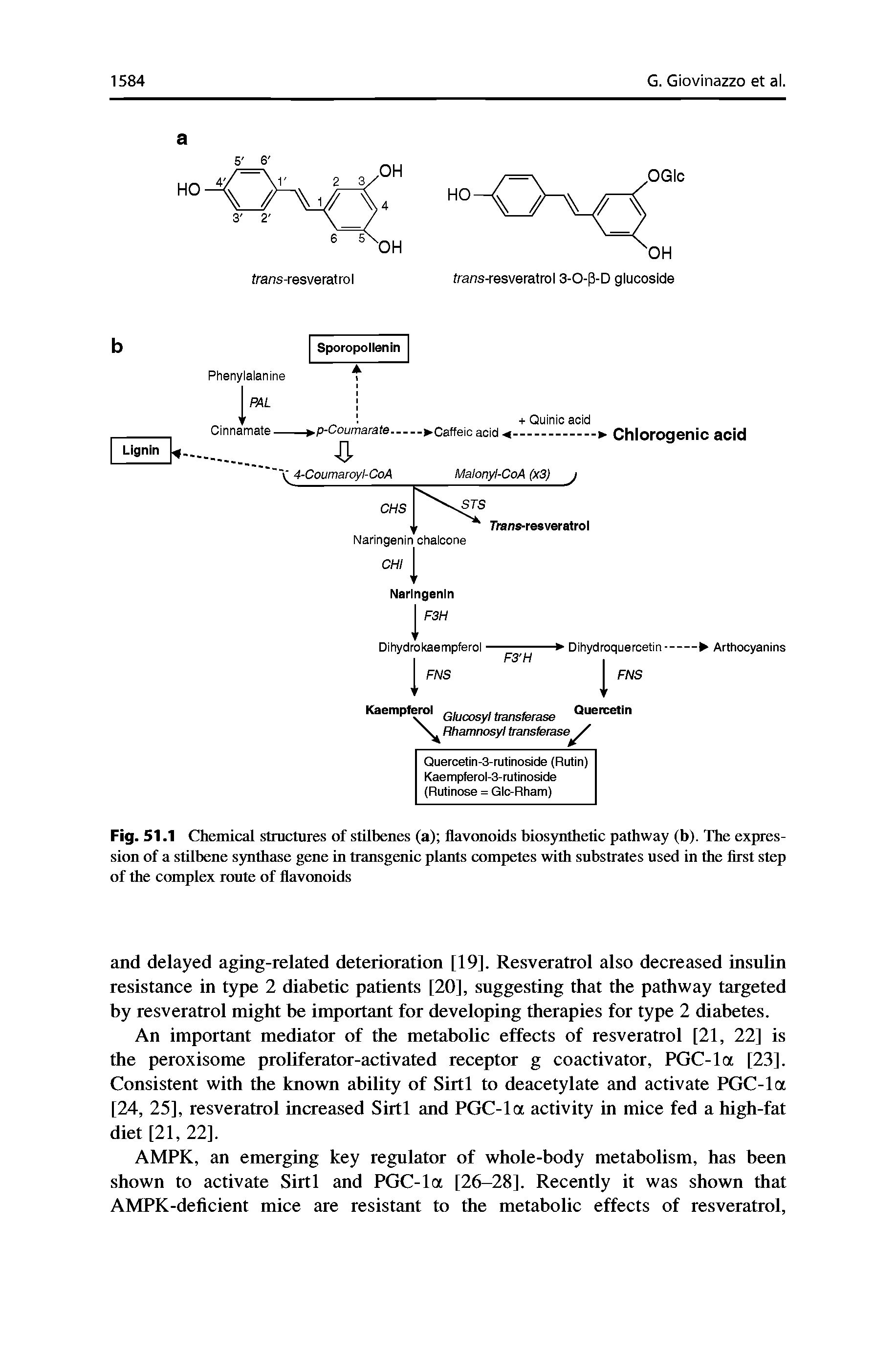 Fig. 51.1 Chemical structures of stilbenes (a) flavonoids biosynthetic pathway (b). The expression of a stilhene synthase gene in transgenic plants competes with substrates used in the first step of the complex route of flavonoids...