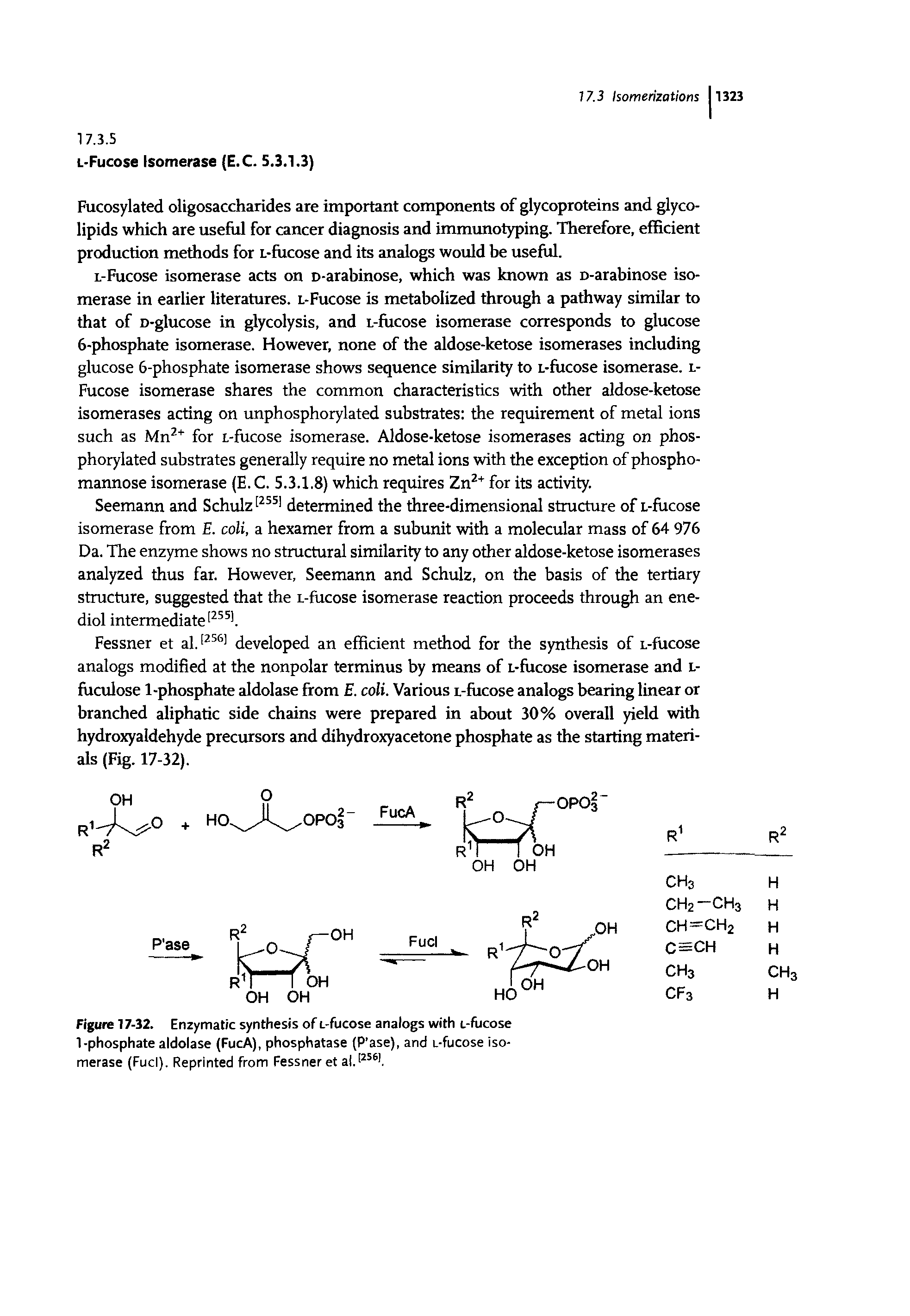 Figure 17-32. Enzymatic synthesis of L-fucose analogs with L-fucose 1-phosphate aldolase (FucA), phosphatase (P ase), and L-fucose isomerase (Fuel). Reprinted from Fessner et al.l2561.