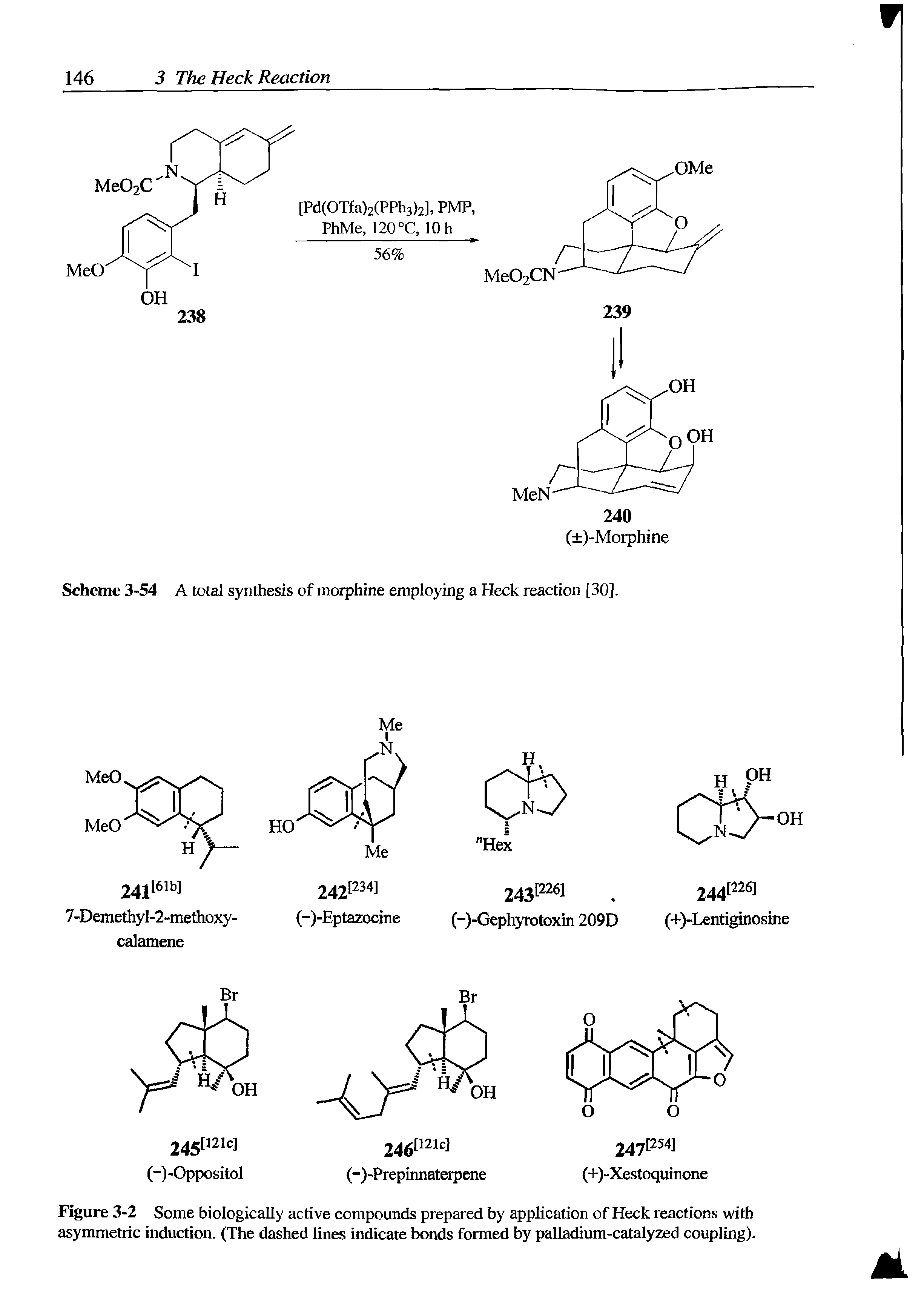 Figure 3-2 Some biologically active compounds prepared by application of Heck reactions with asymmetric induction. (The dashed lines indicate bonds formed by palladium-catalyzed coupling).