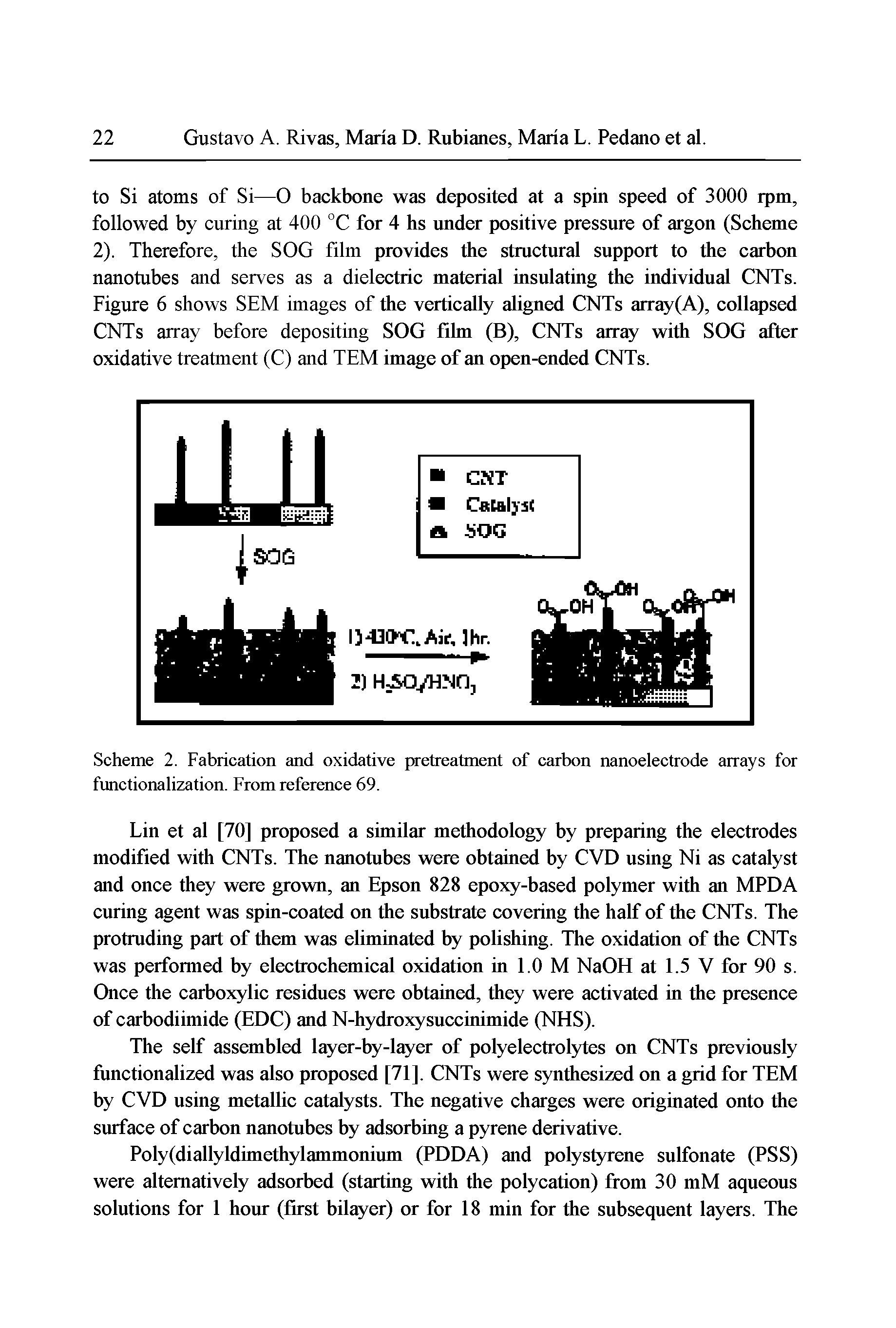 Scheme 2. Fabrication and oxidative pretreatment of carbon nanoelectrode arrays for functionalization. From reference 69.