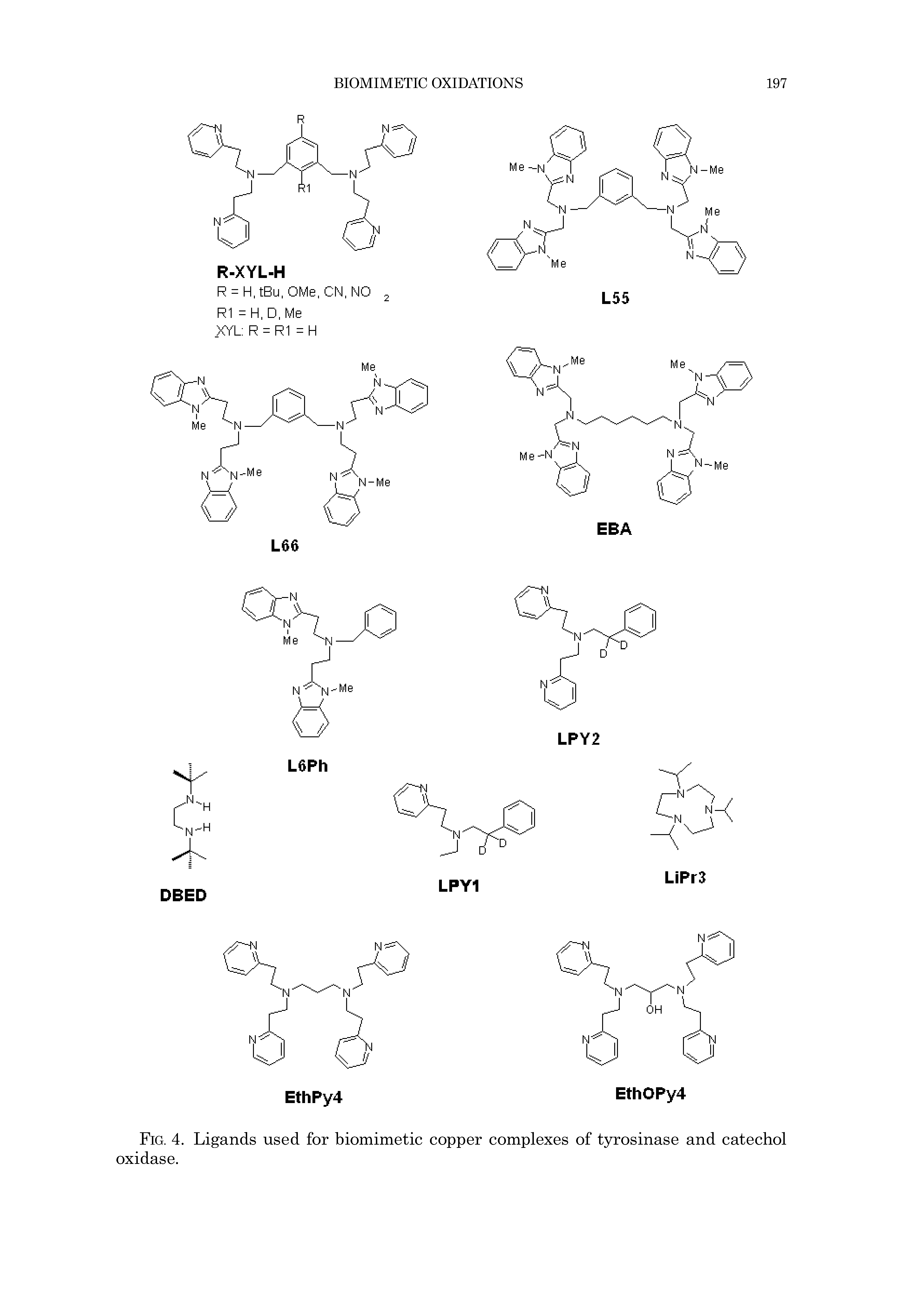 Fig. 4. Ligands used for biomimetic copper complexes of tyrosinase and catechol oxidase.