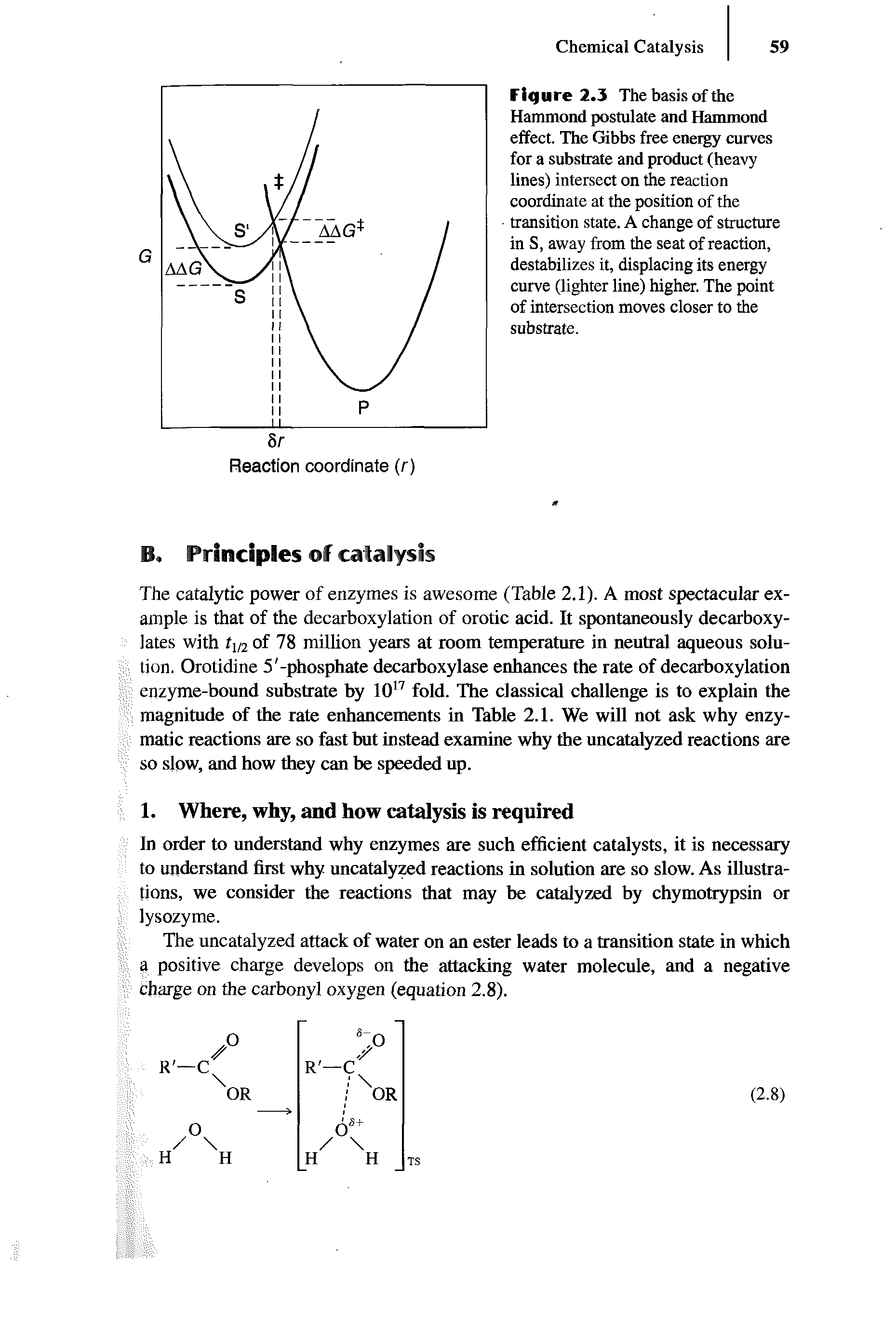 Figure 2.3 The basis of the Hammond postulate and Hammond effect. The Gibbs free energy curves for a substrate and product (heavy lines) intersect on the reaction coordinate at the position of the transition state. A change of structure in S, away from the seat of reaction, destabilizes it, displacing its energy curve (lighter line) higher. The point of intersection moves closer to the substrate.