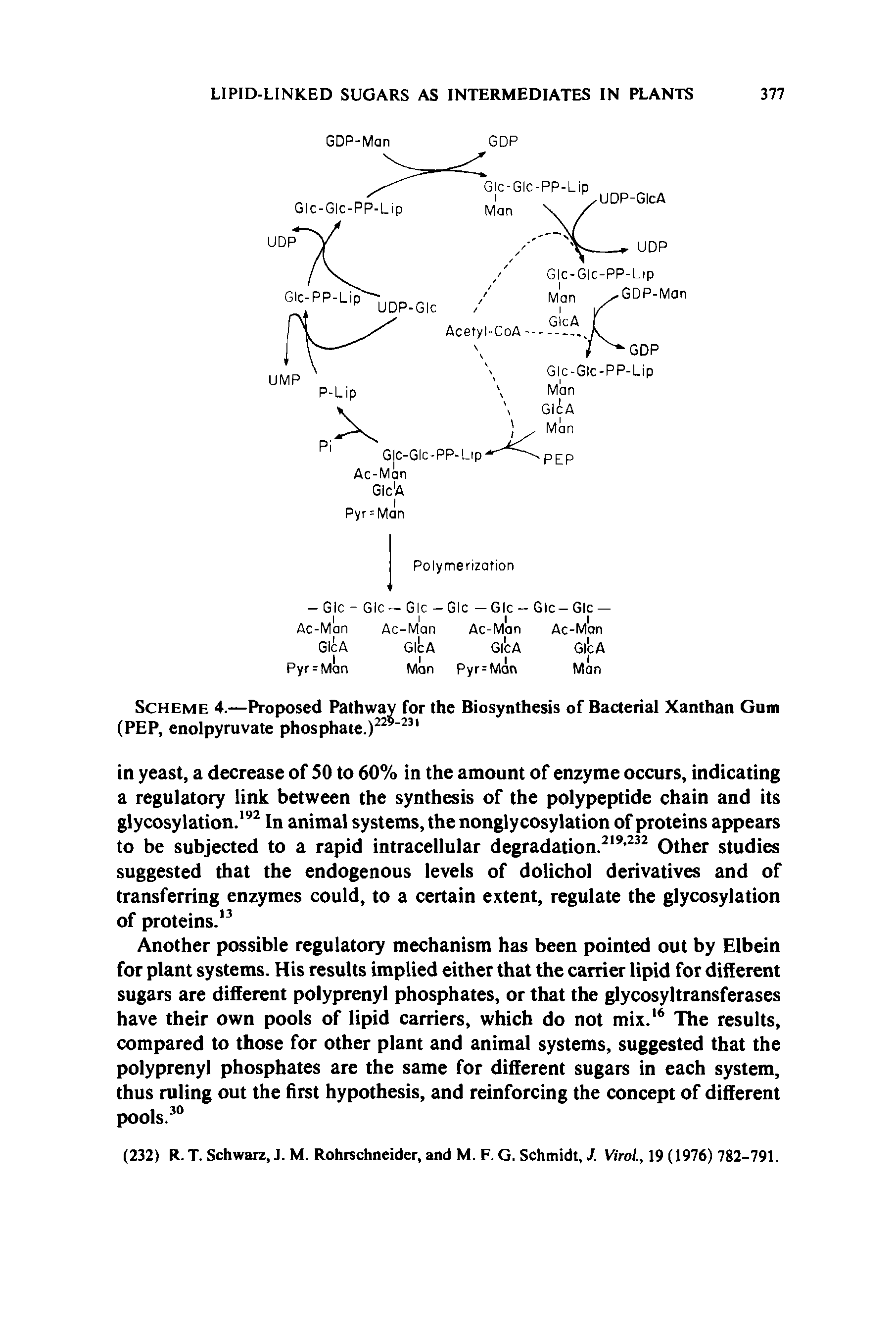 Scheme 4.—Proposed Pathway for the Biosynthesis of Bacterial Xanthan Gum (PEP, enolpyruvate phosphate.)2 231...