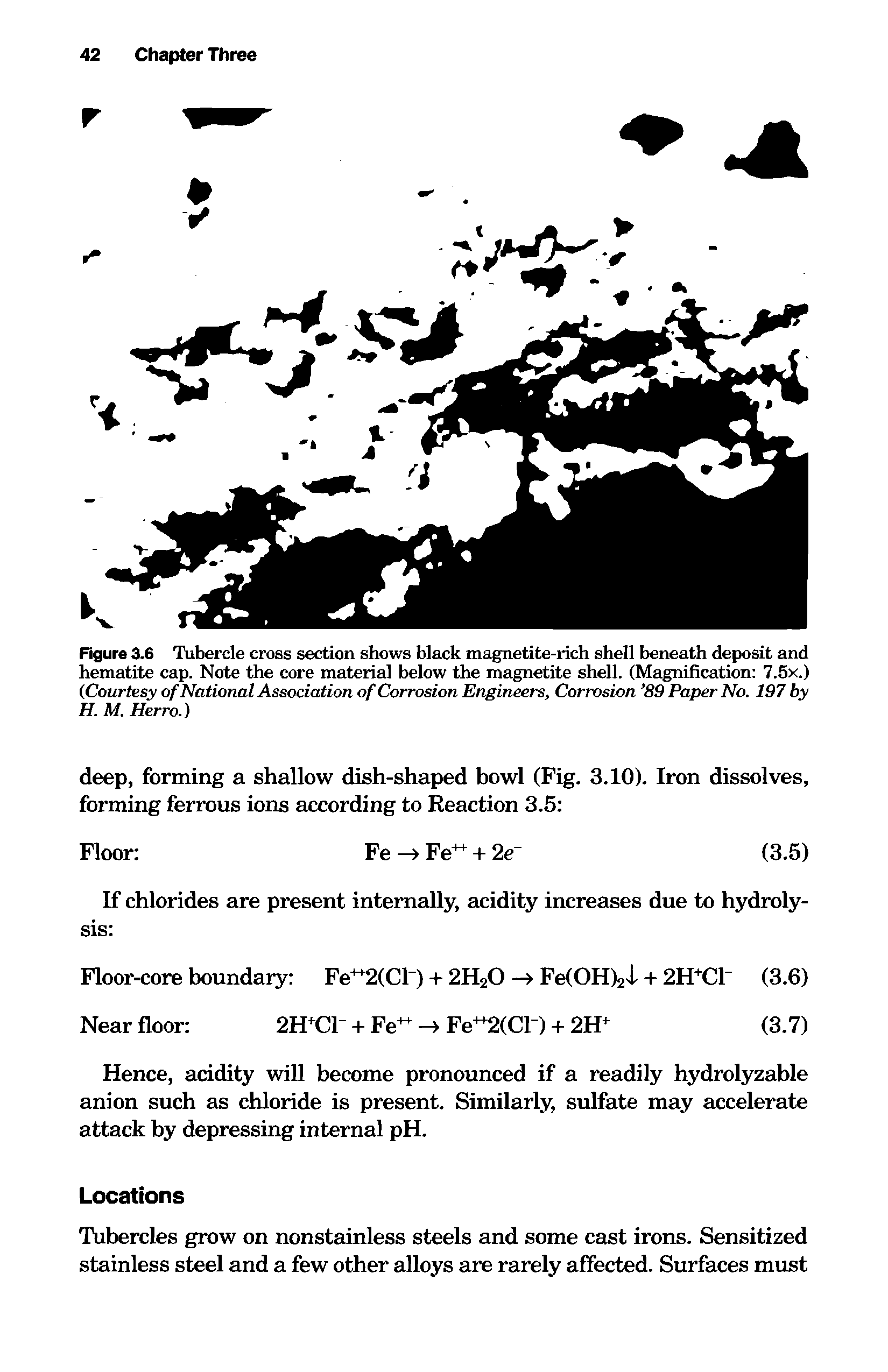 Figure 3.6 Tubercle cross section shows black magnetite-rich shell beneath deposit and hematite cap. Note the core material below the magnetite shell. (Magnification 7.5x.) (Courtesy of National Association of Corrosion Engineers, Corrosion 89 Paper No. 197 by H. M. Herro.)...