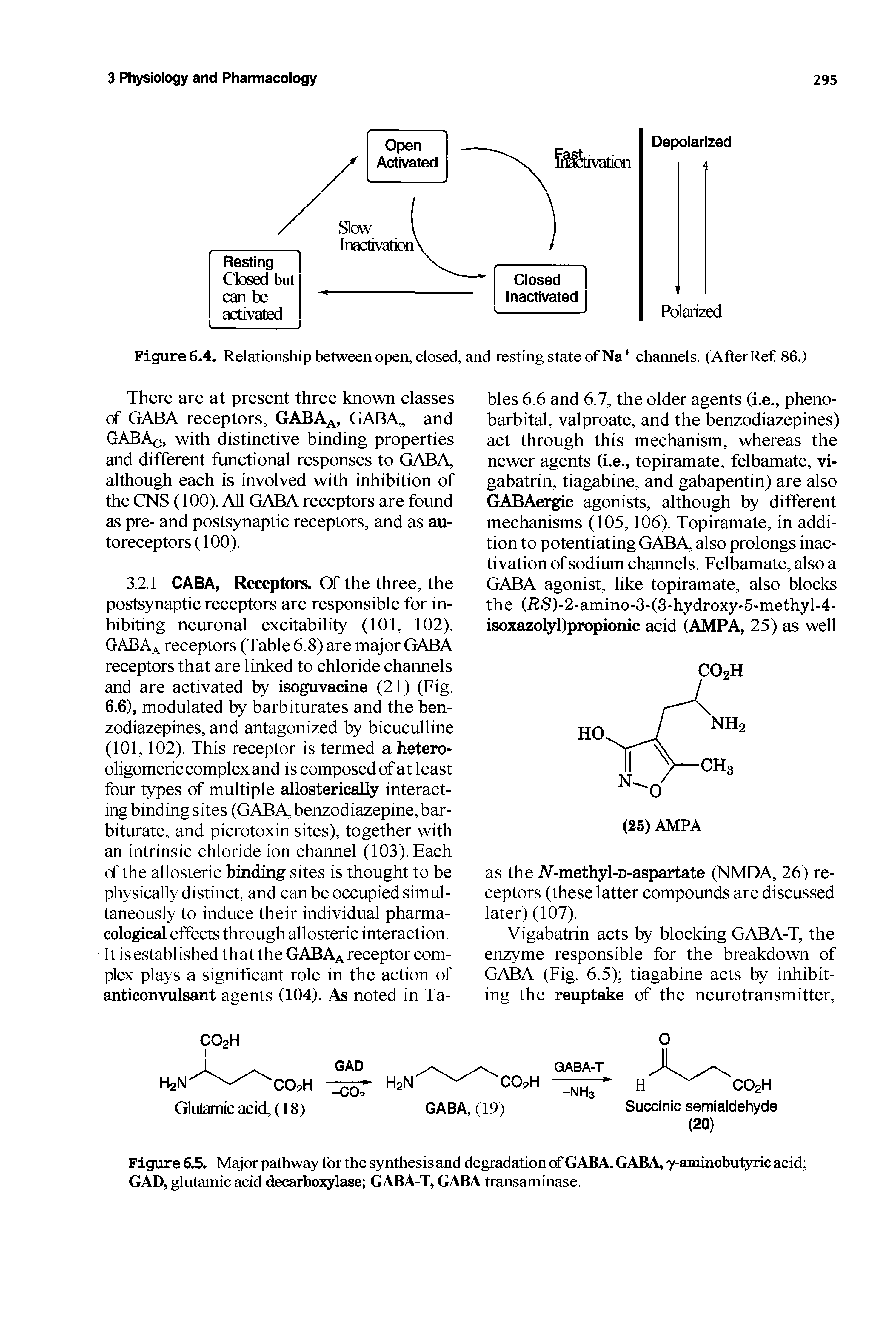 Figure 6.5. Major pathway for the synthesis and degradation of GABA GABA y-aminobutyric acid GAD, glutamic acid decarboxylase GABA-T, GABA transaminase.