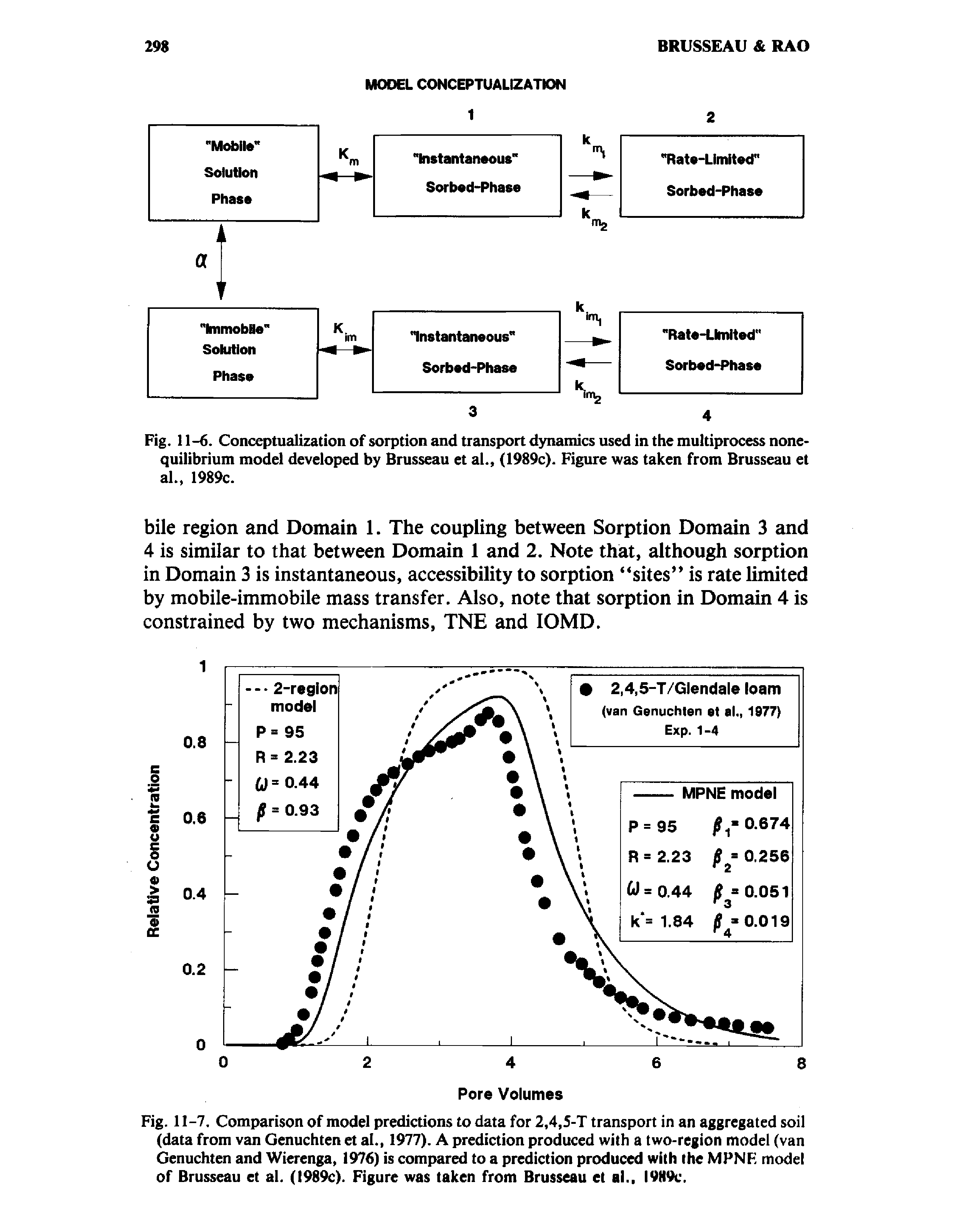 Fig. 11-6. Conceptualization of sorption and transport dynamics used in the multiprocess nonequilibrium model developed by Brusseau et al., (1989c). Figure was taken from Brusseau et al., 1989c.